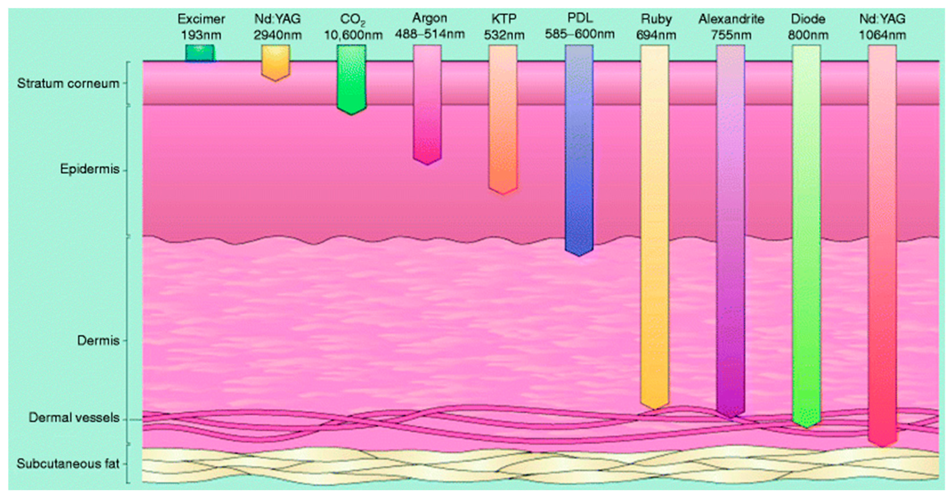 Sensors 24 02252 g001 Sensors 24 02252 g001