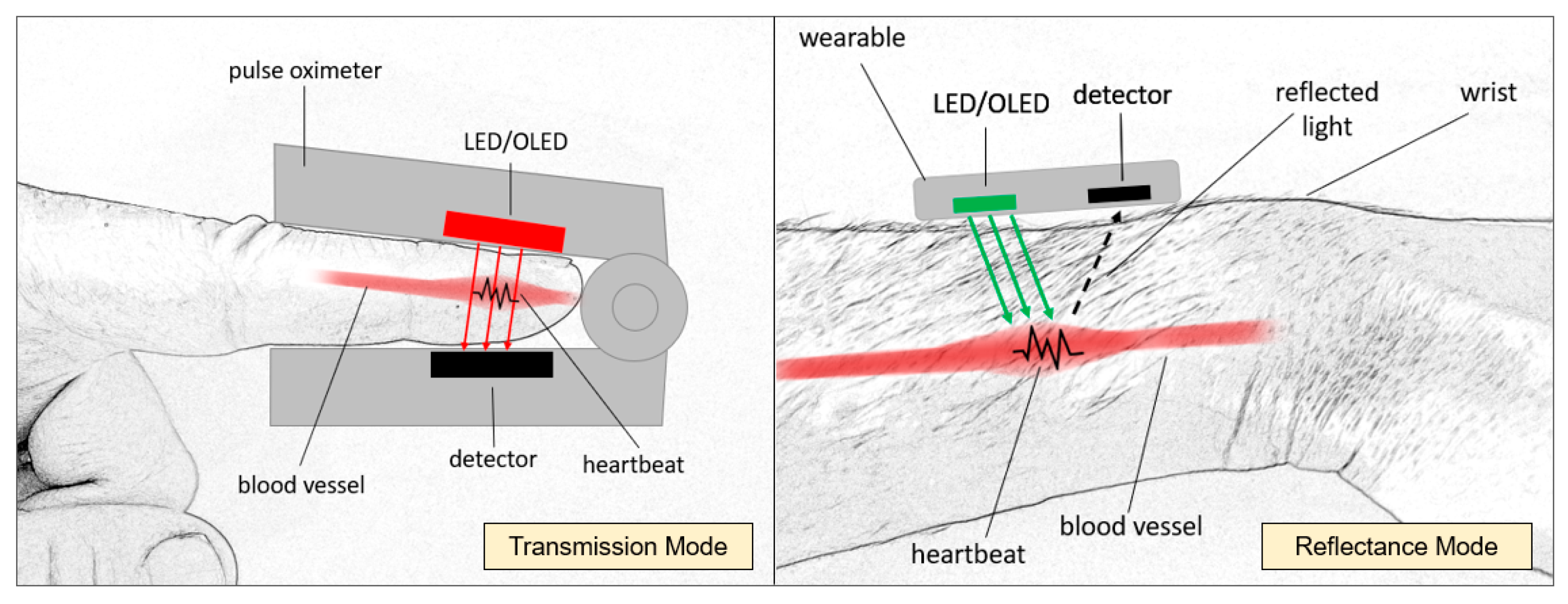 Sensors 24 02260 g005 Sensors 24 02260 g005