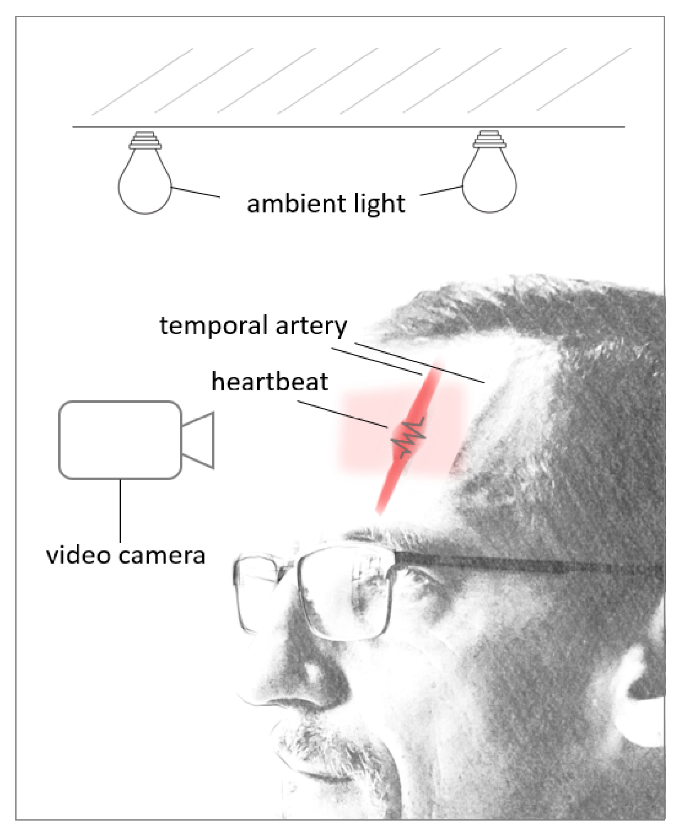 Sensors 24 02260 g006 Sensors 24 02260 g006