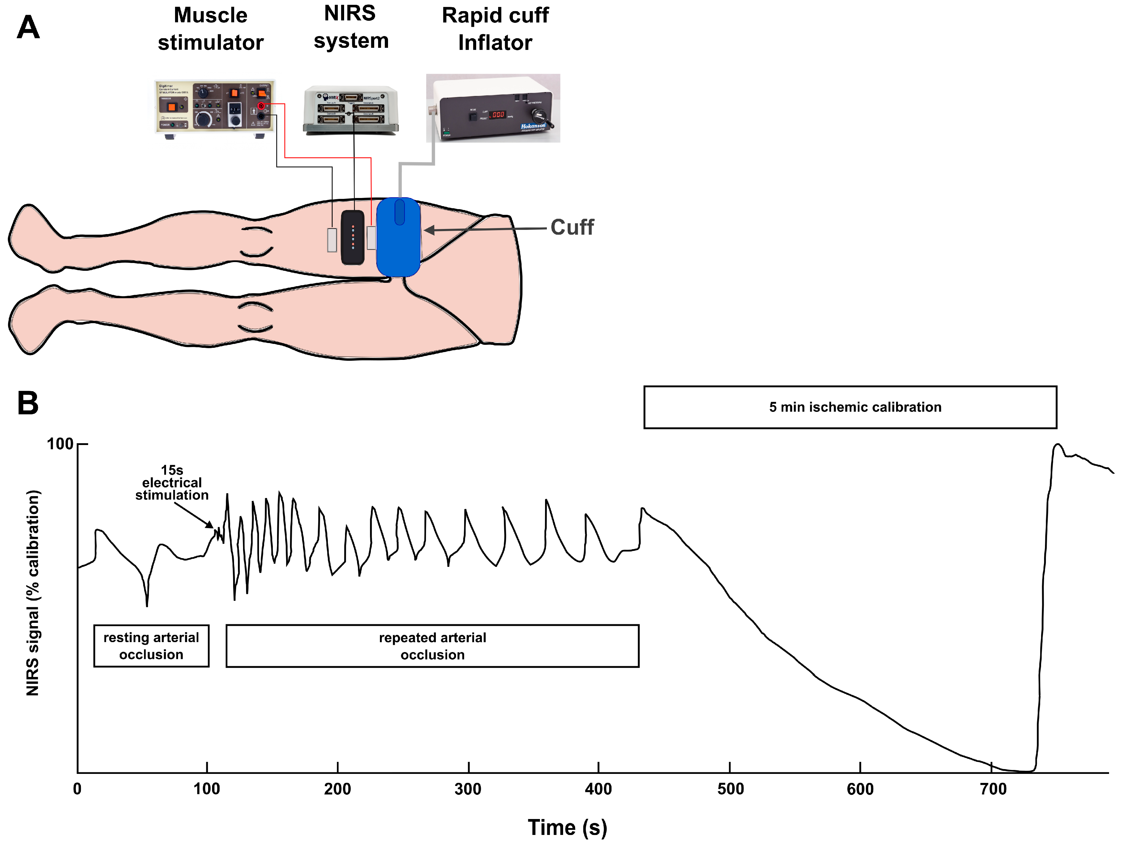 Sensors 24 02277 g001