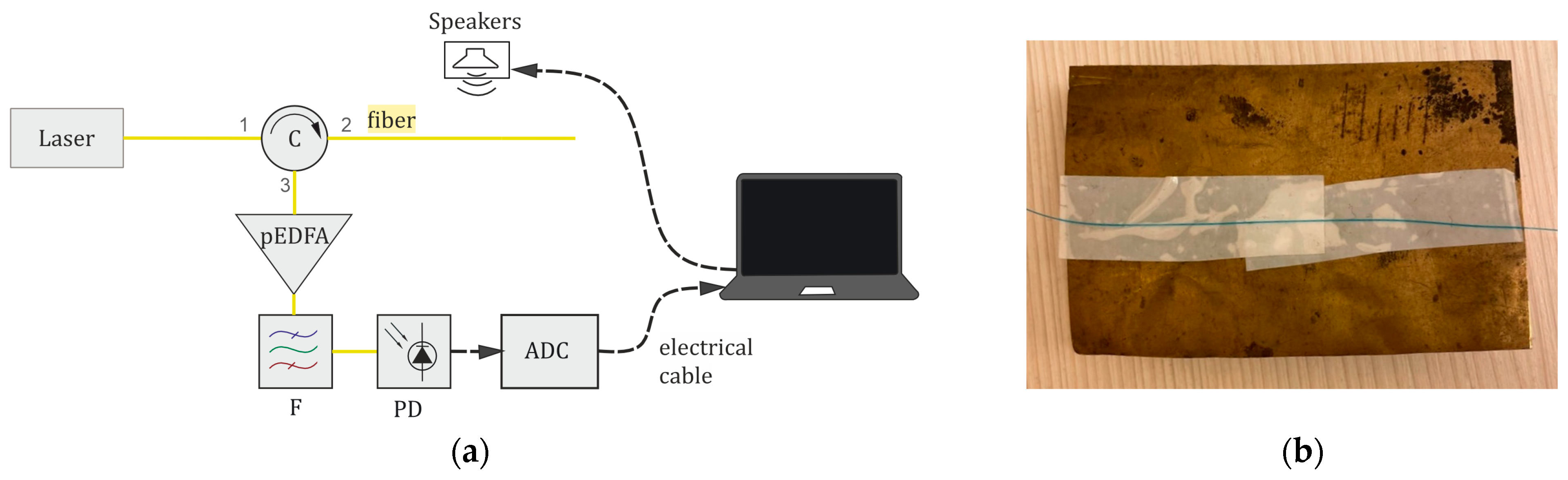 Sensors 24 02281 g007