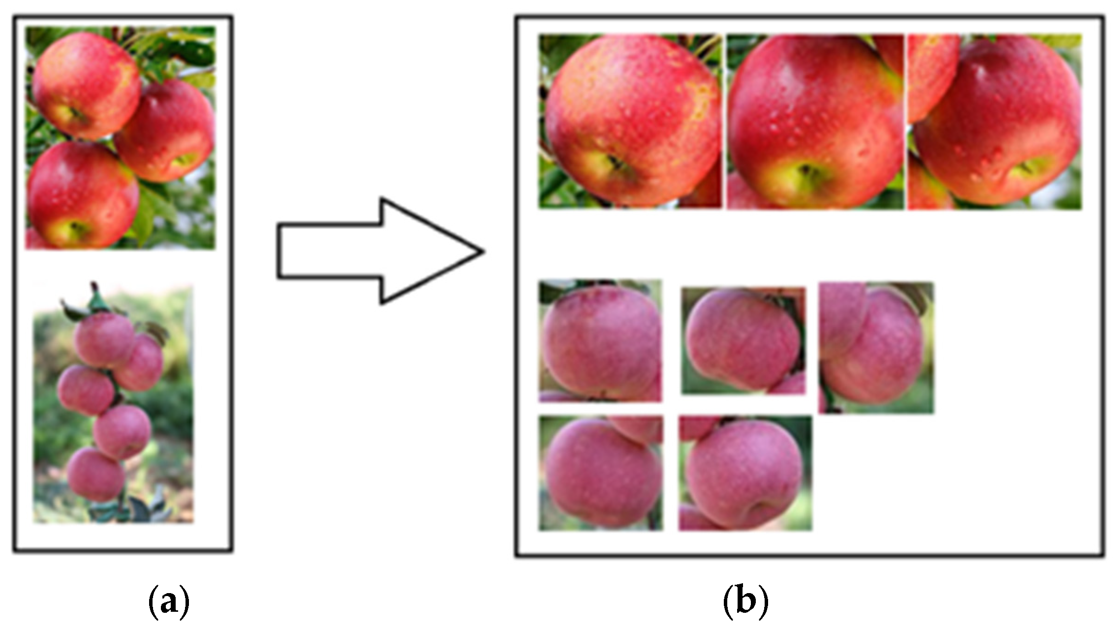 Sensors 24 02283 g004