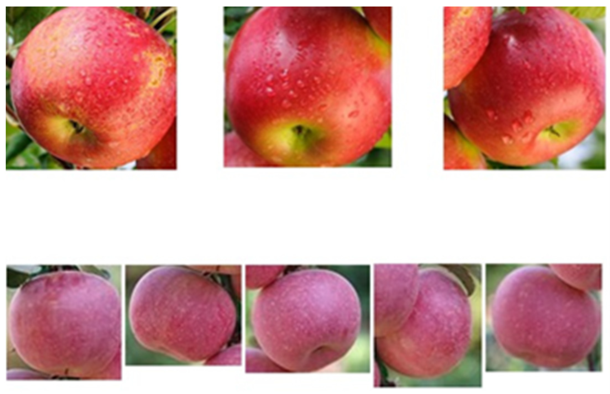 Sensors 24 02283 g009