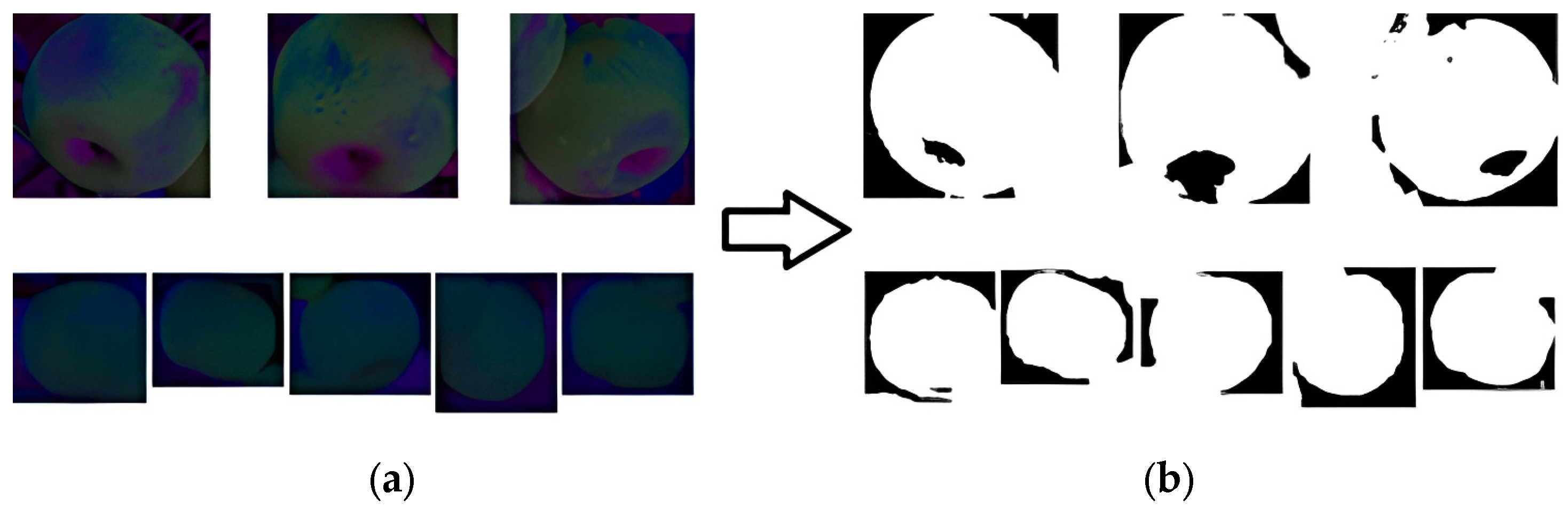 Sensors 24 02283 g010