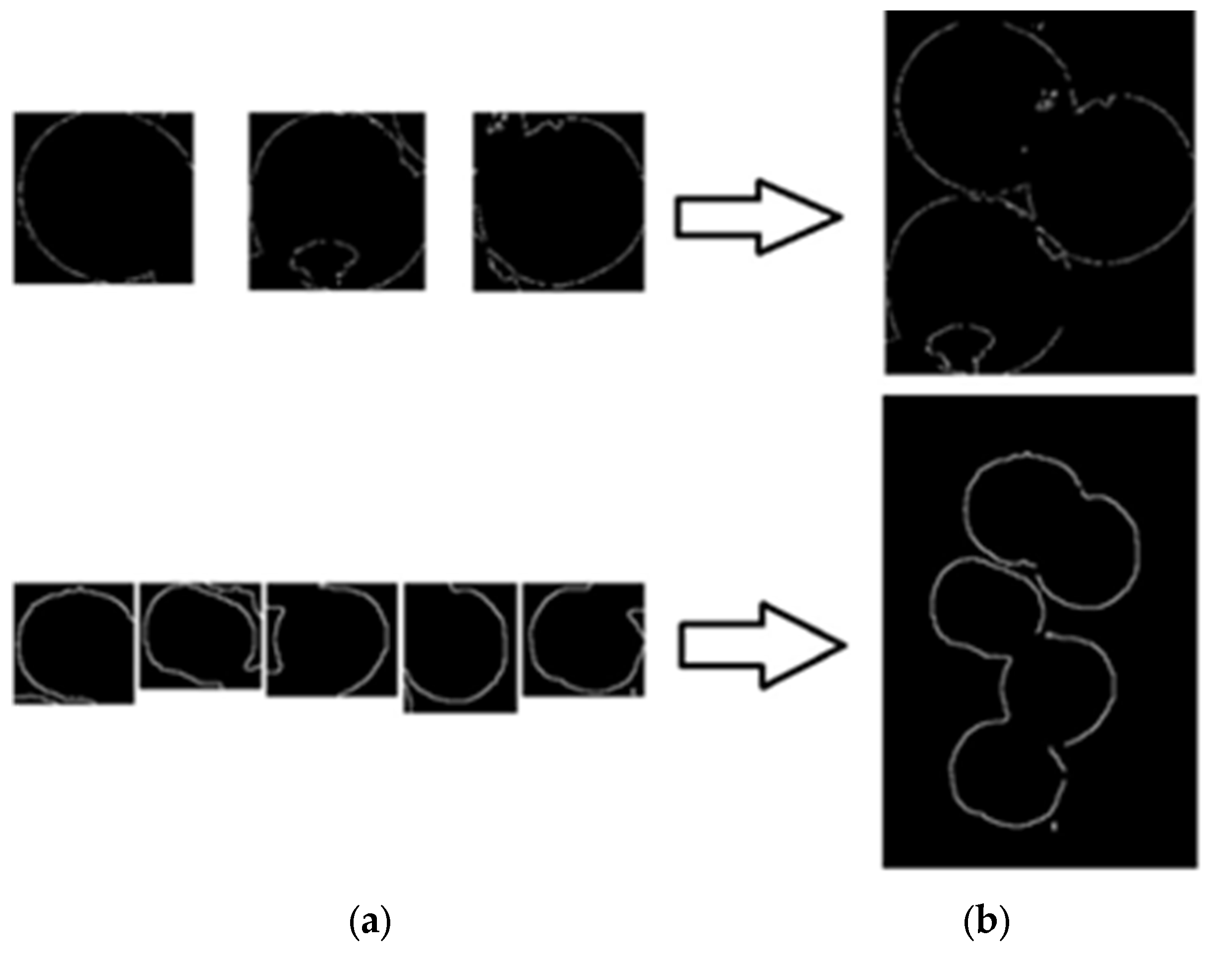Sensors 24 02283 g013