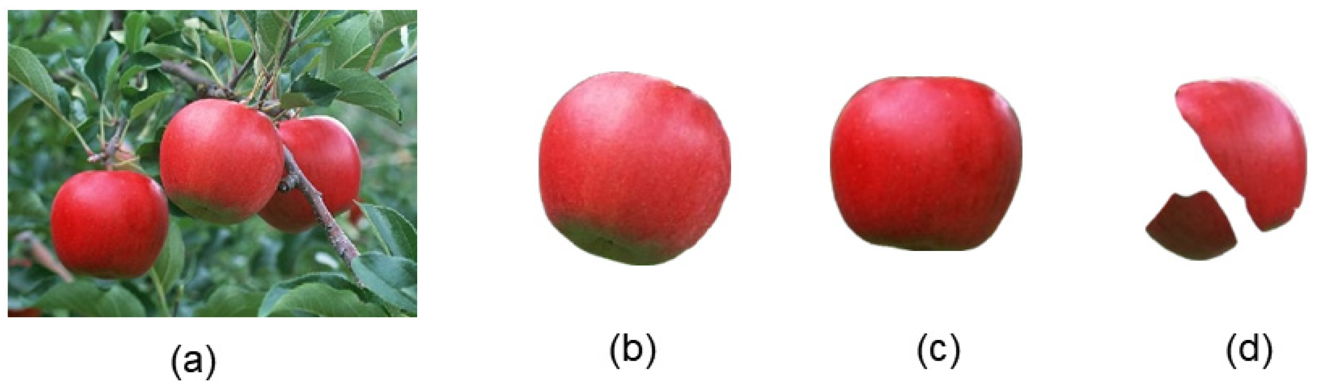 Sensors 24 02283 g014