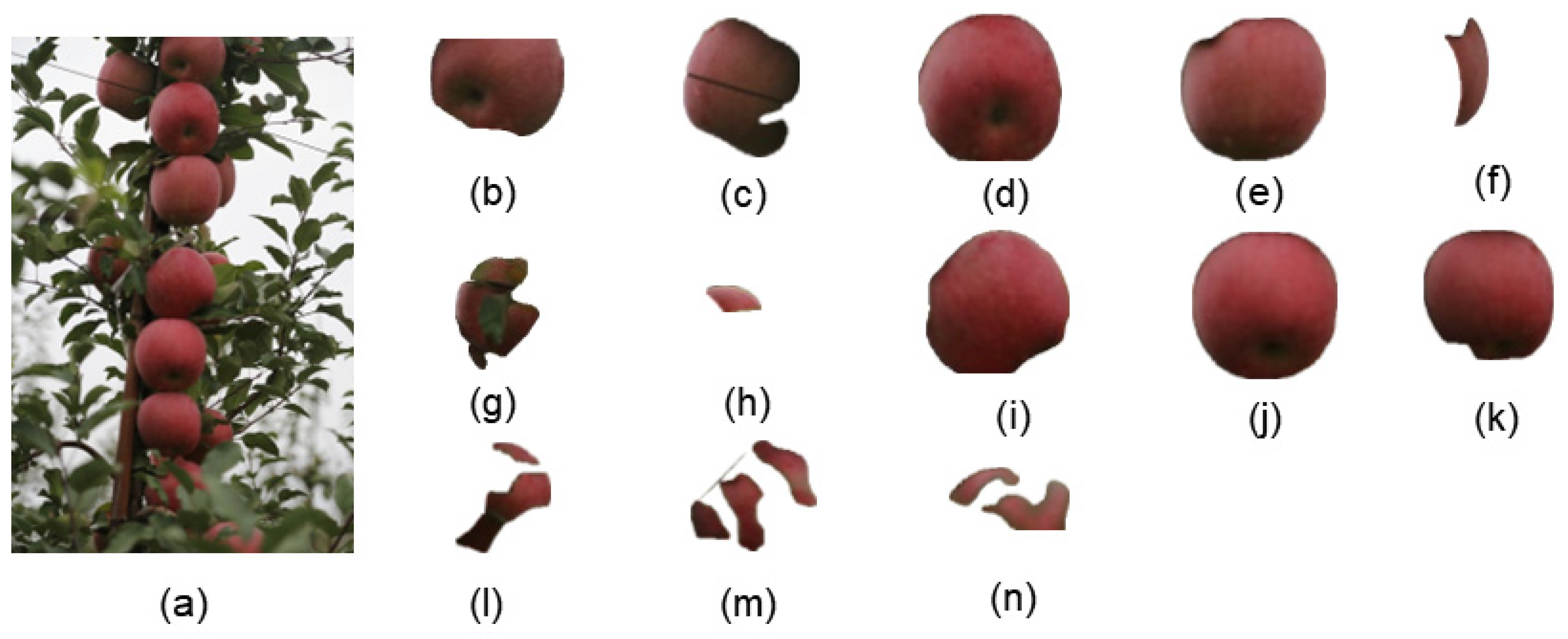 Sensors 24 02283 g015