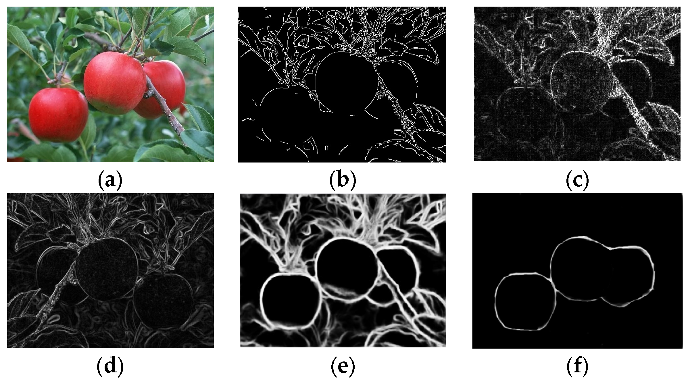 Sensors 24 02283 g017