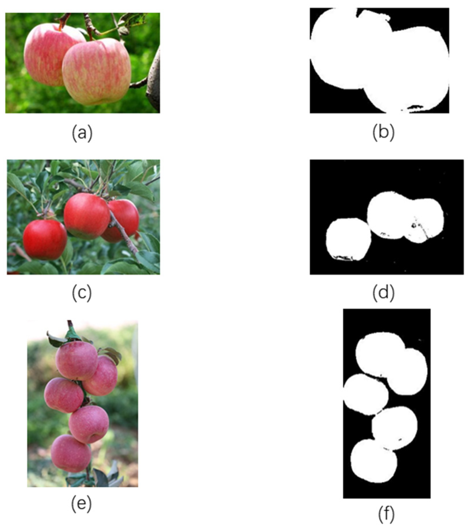 Sensors 24 02283 g020