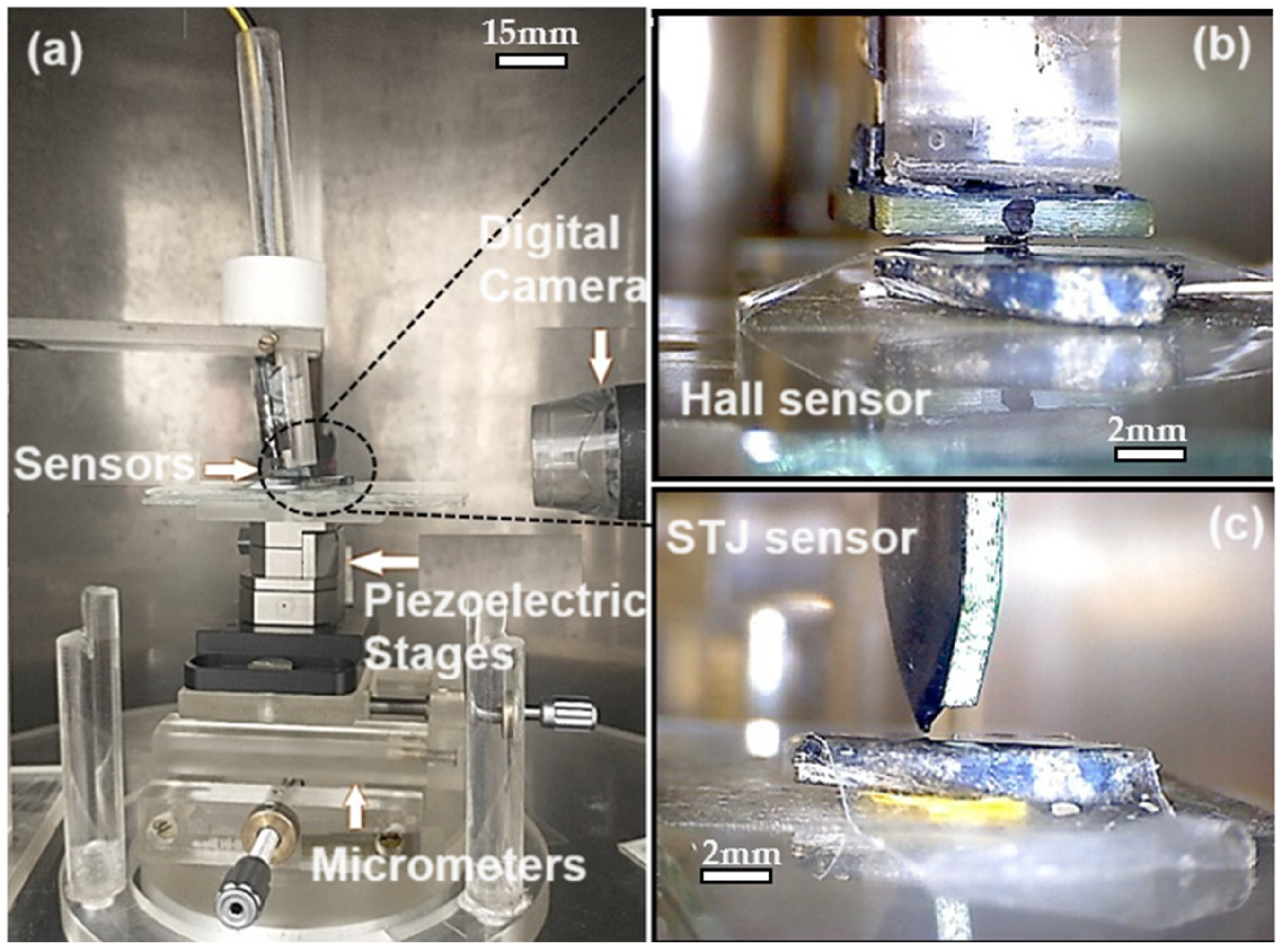 Sensors 24 02294 g001