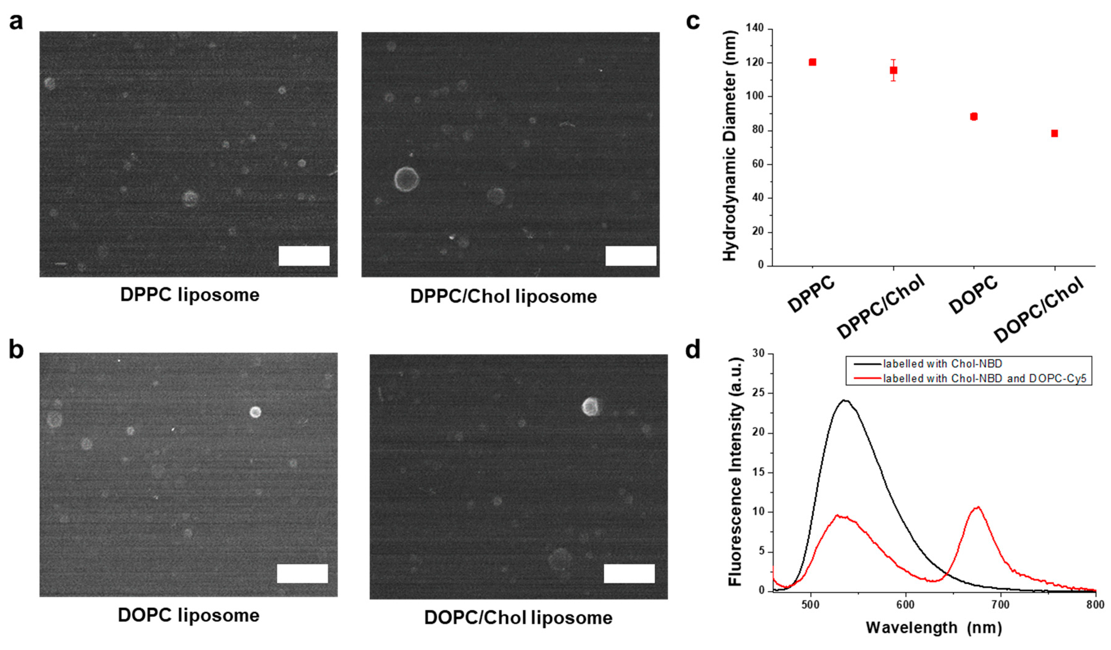 Sensors 24 02315 g003