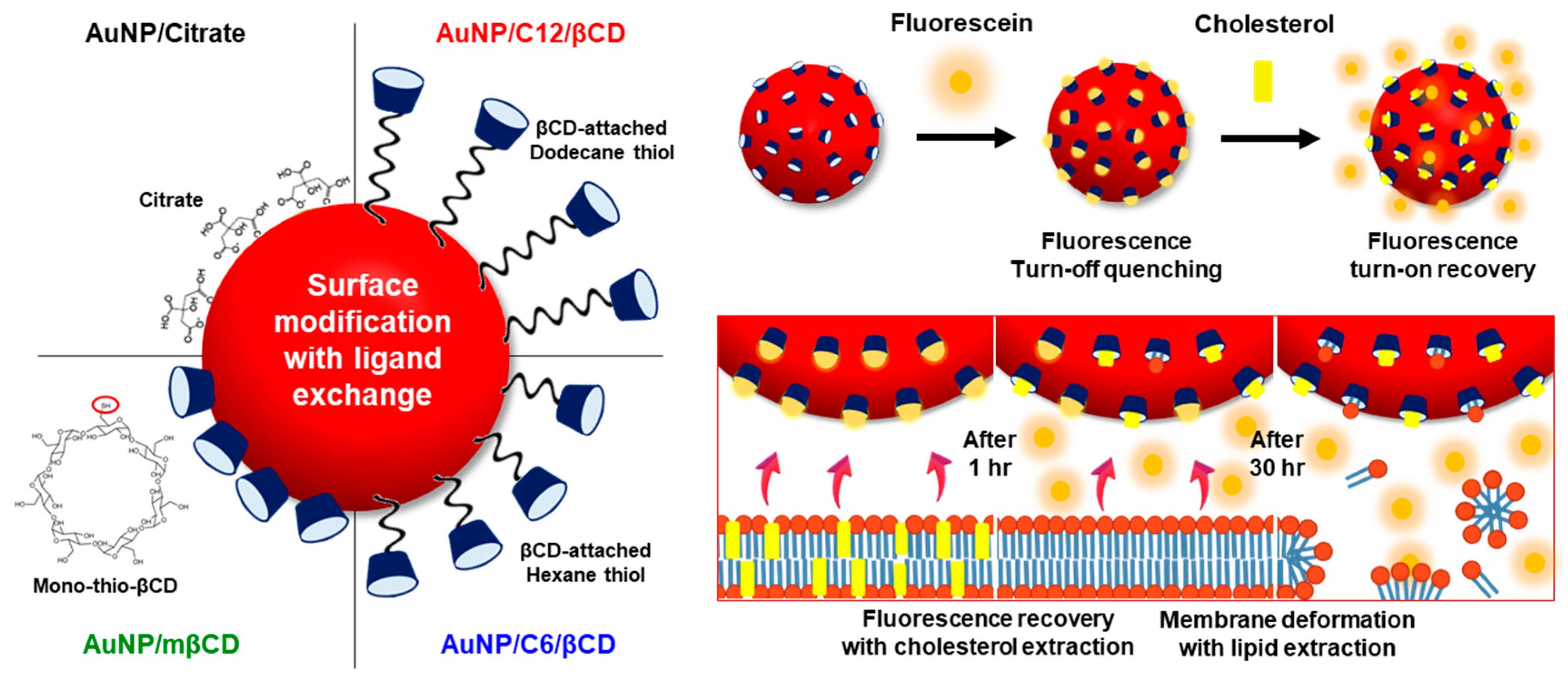 Sensors 24 02315 sch001