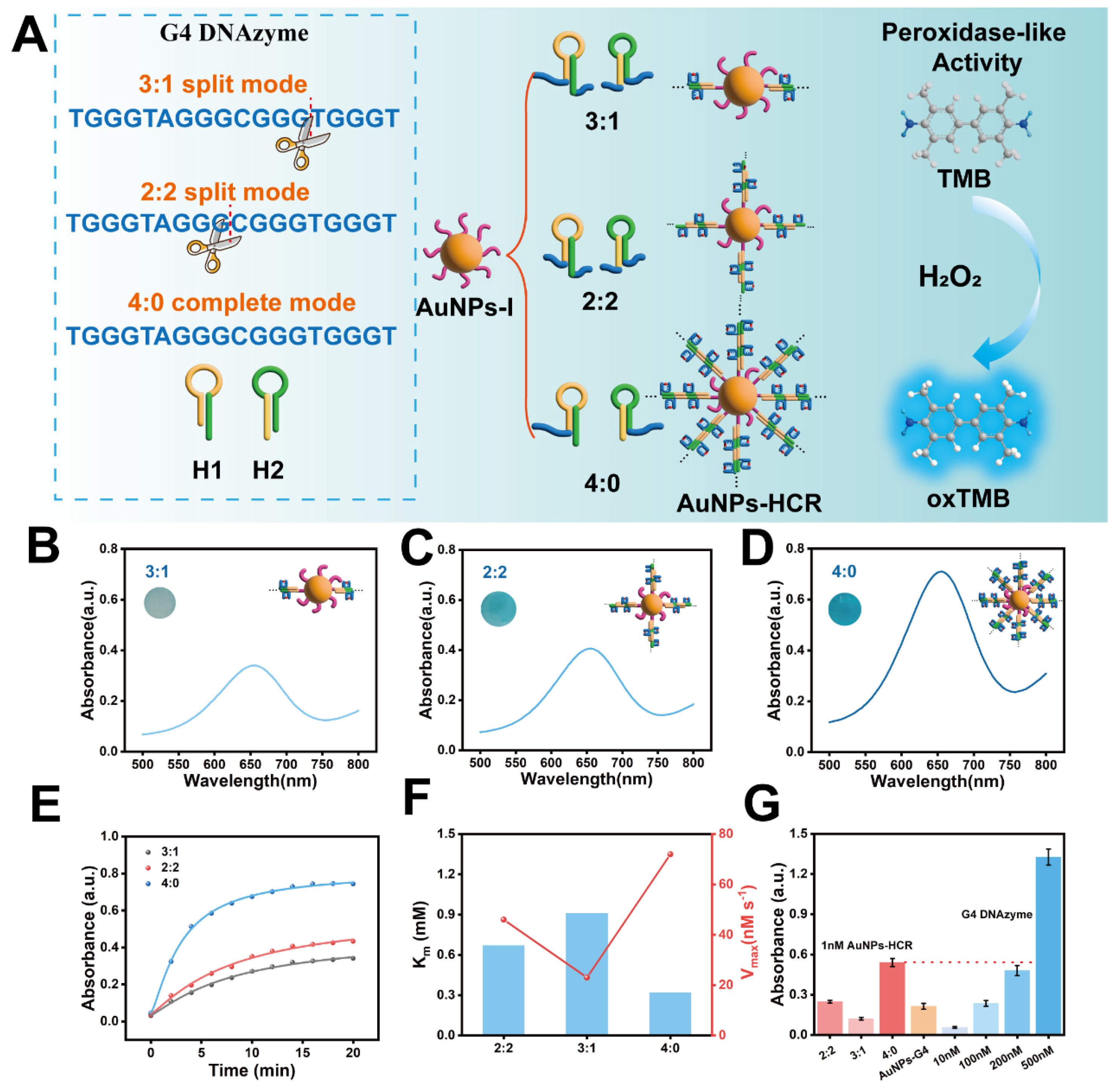 Sensors 24 02325 g002