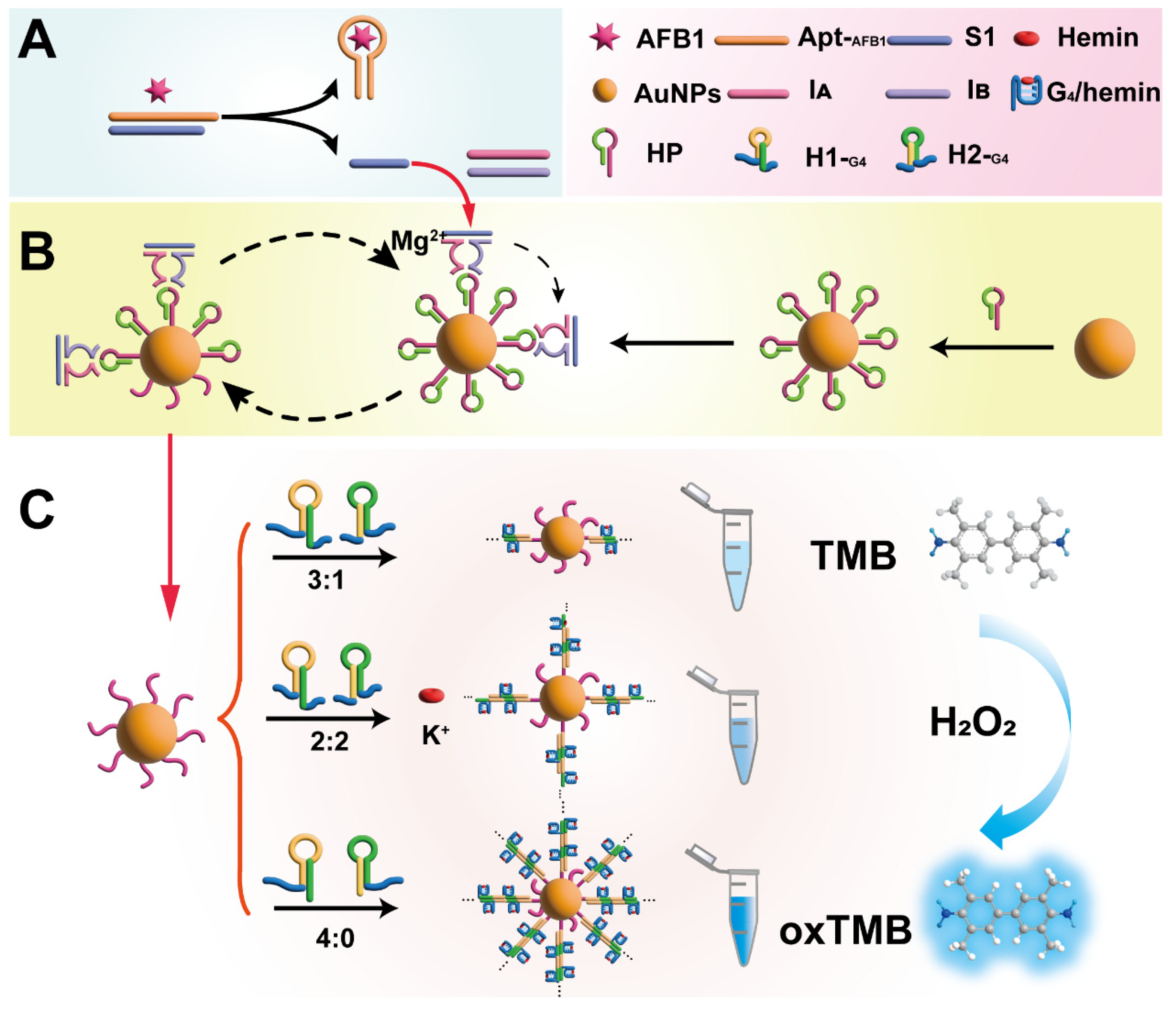 Sensors 24 02325 sch001