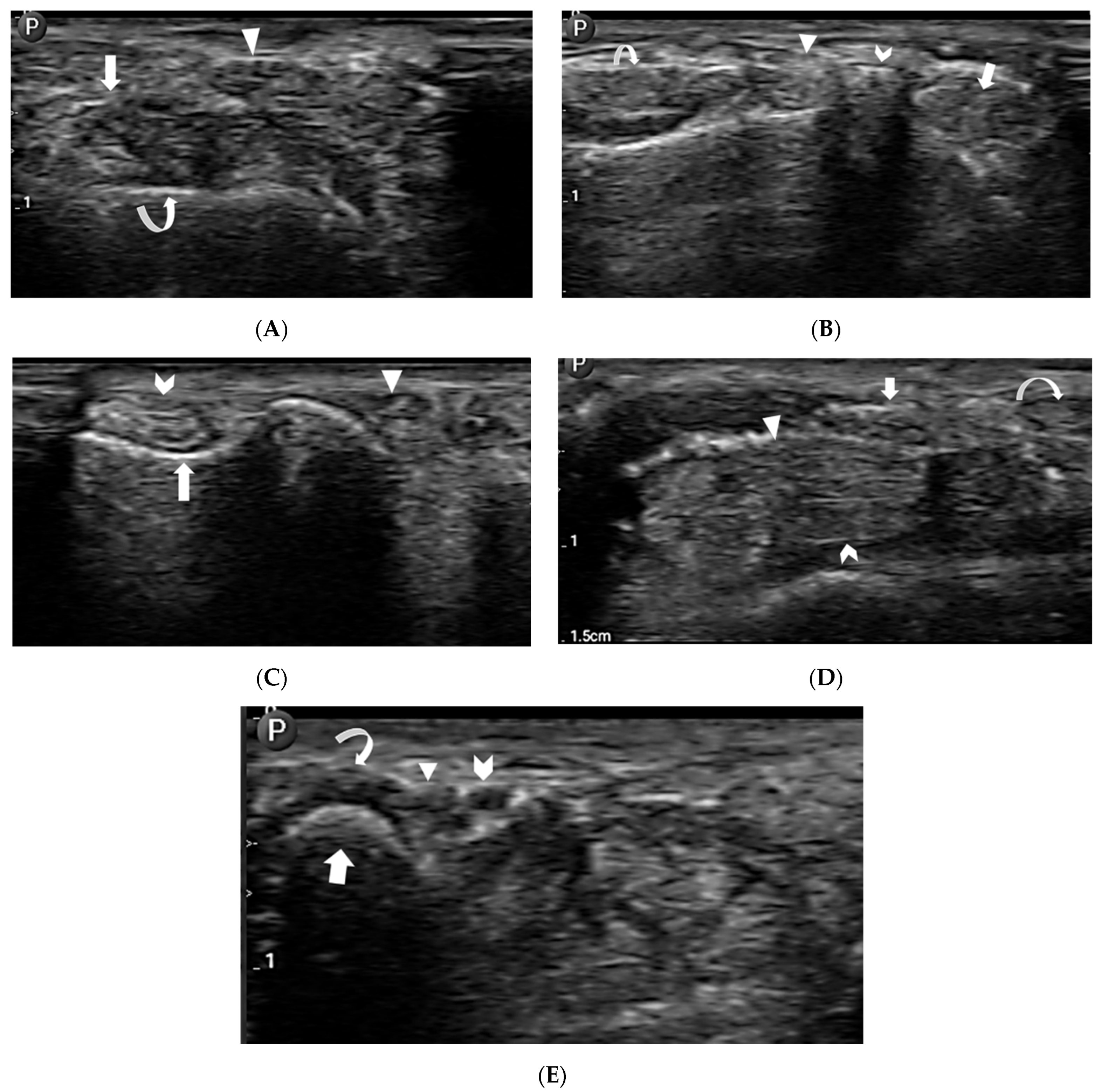 Sensors 24 02368 g005