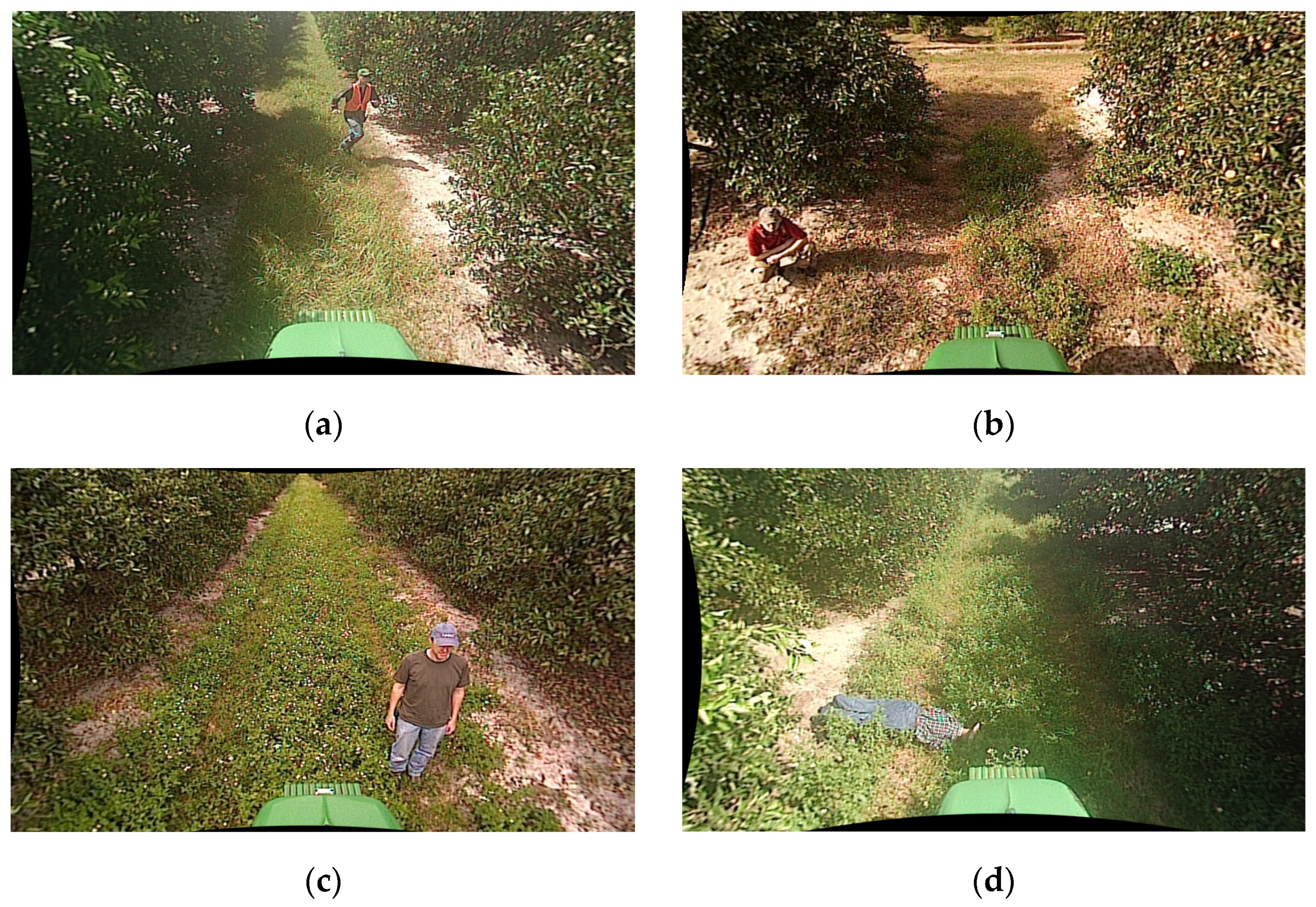 Sensors 24 02371 g003