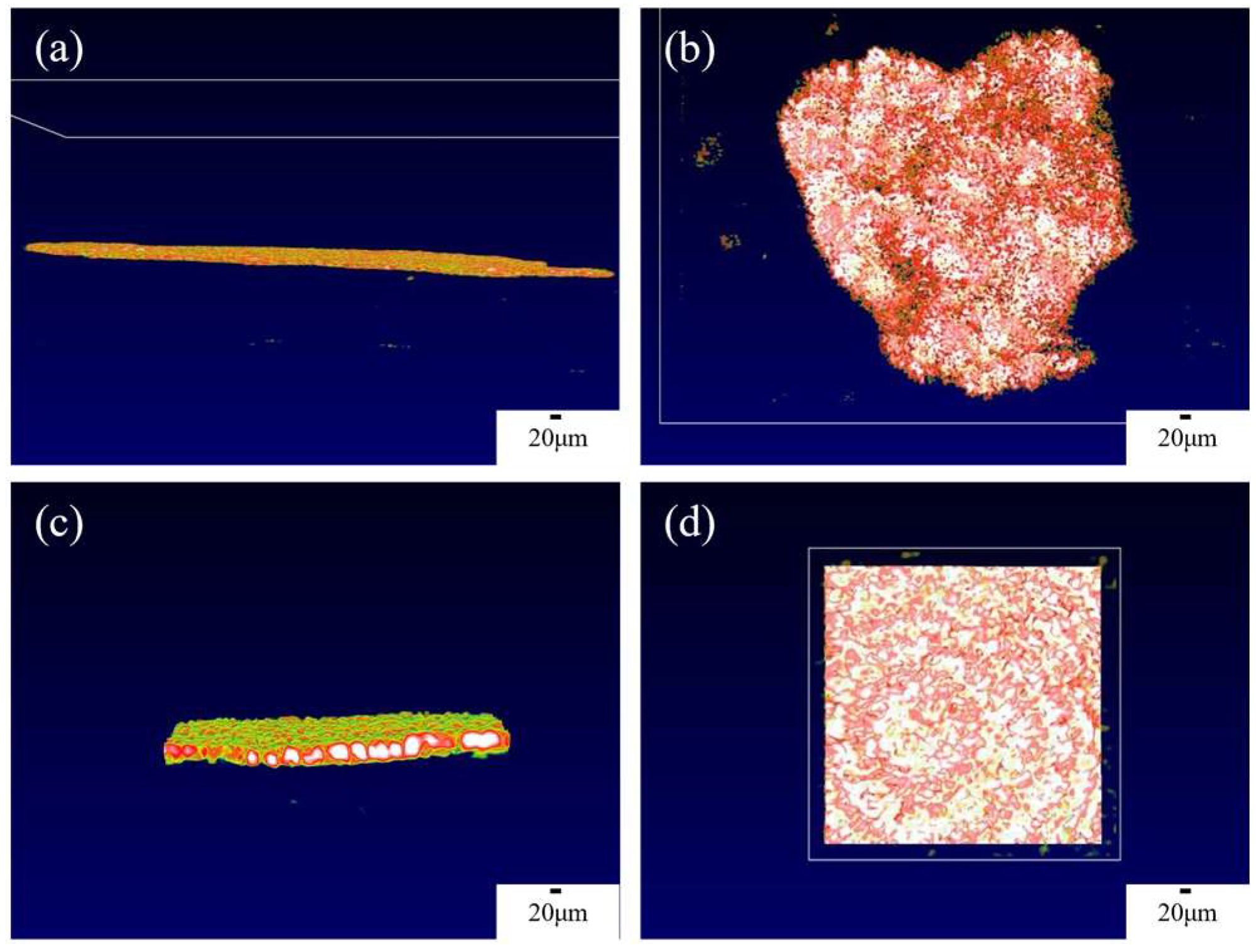 Sensors 24 02392 g003