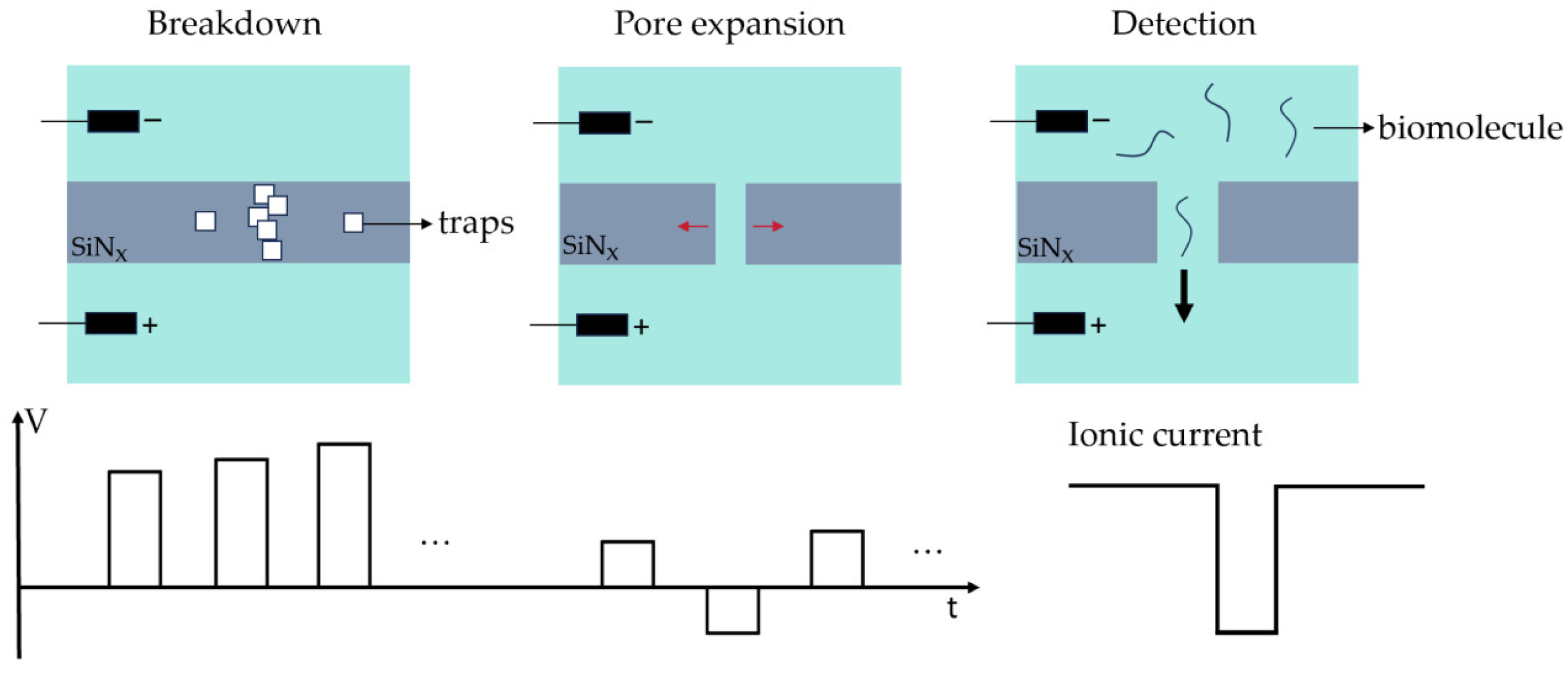 Sensors 24 02420 g002