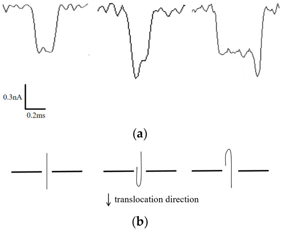 Detection of Biomolecules Using Solid-State Nanopores Detection of Biomolecules Using Solid-State Nanopores