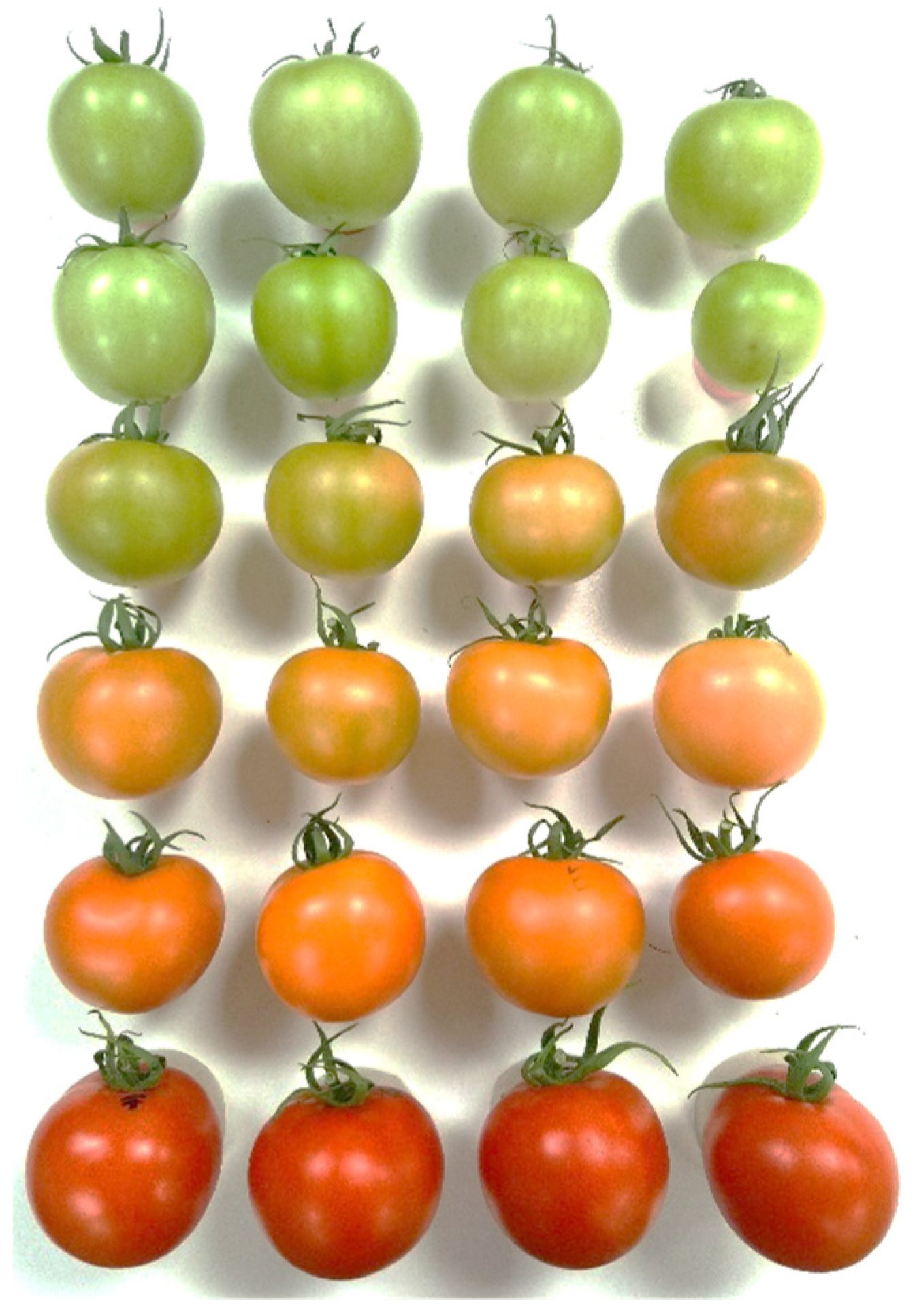 Sensors 24 02426 g002