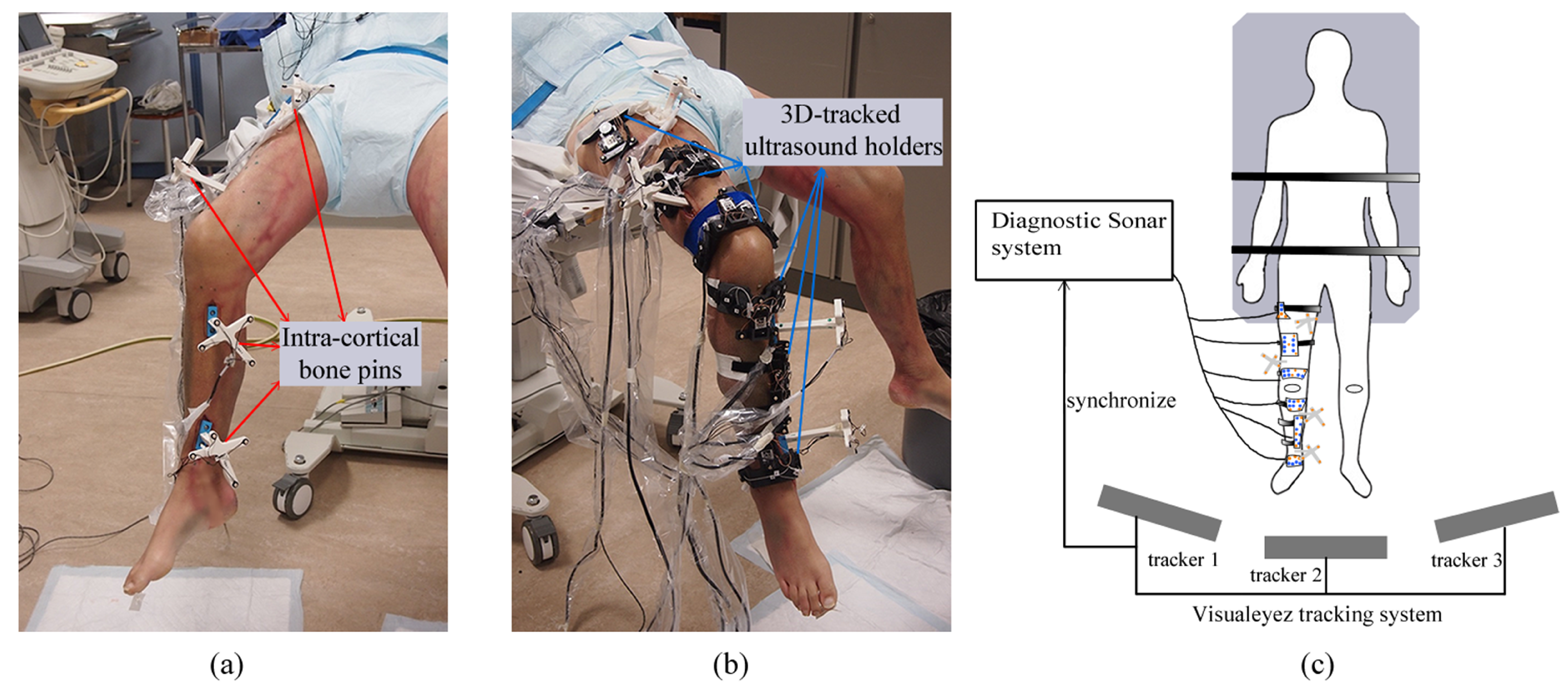Sensors 24 02439 g003