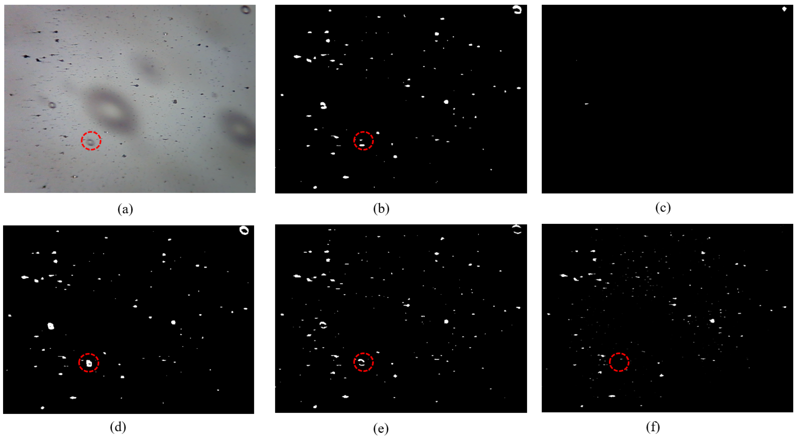 Sensors 24 02444 g007