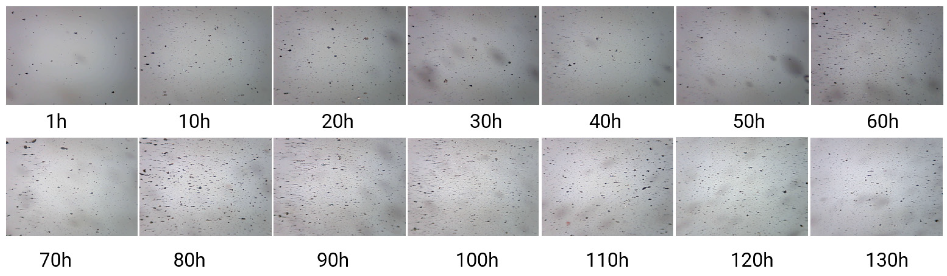 Sensors 24 02444 g011