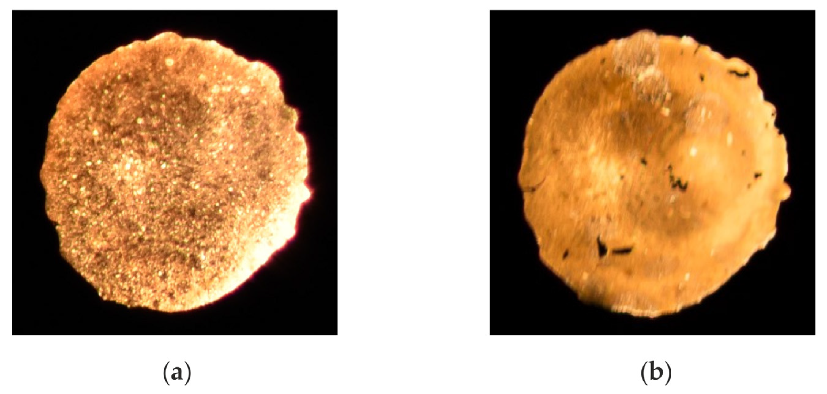 Sensors 24 02459 g008