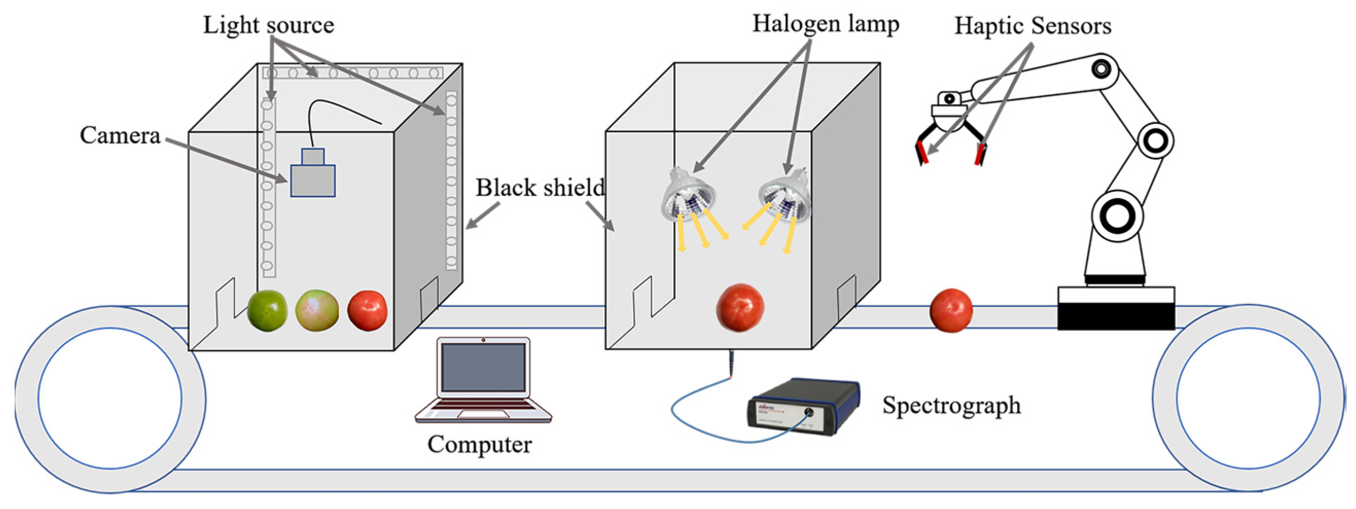 Sensors 24 02467 g002