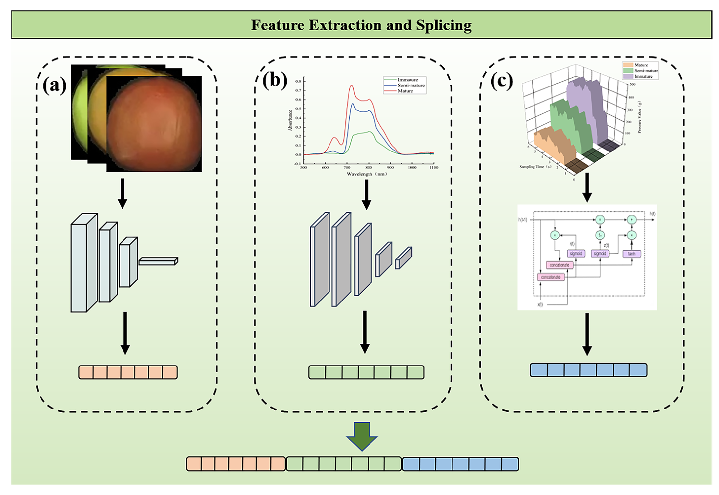 Sensors 24 02467 g003