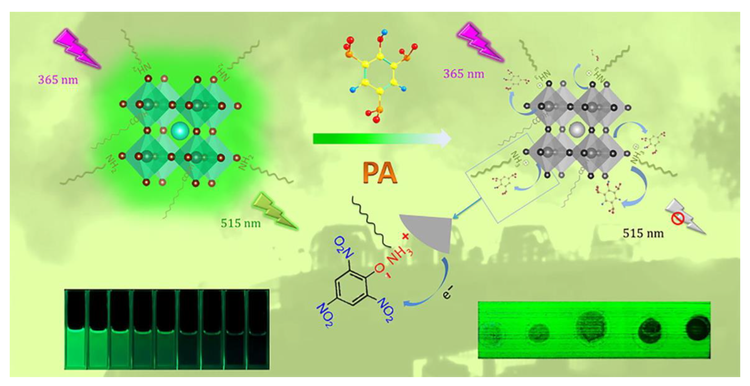 Sensors 24 02504 g013