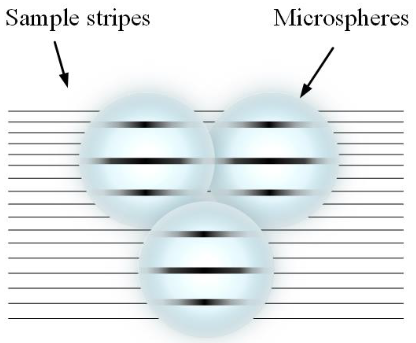 Sensors 24 02511 g012