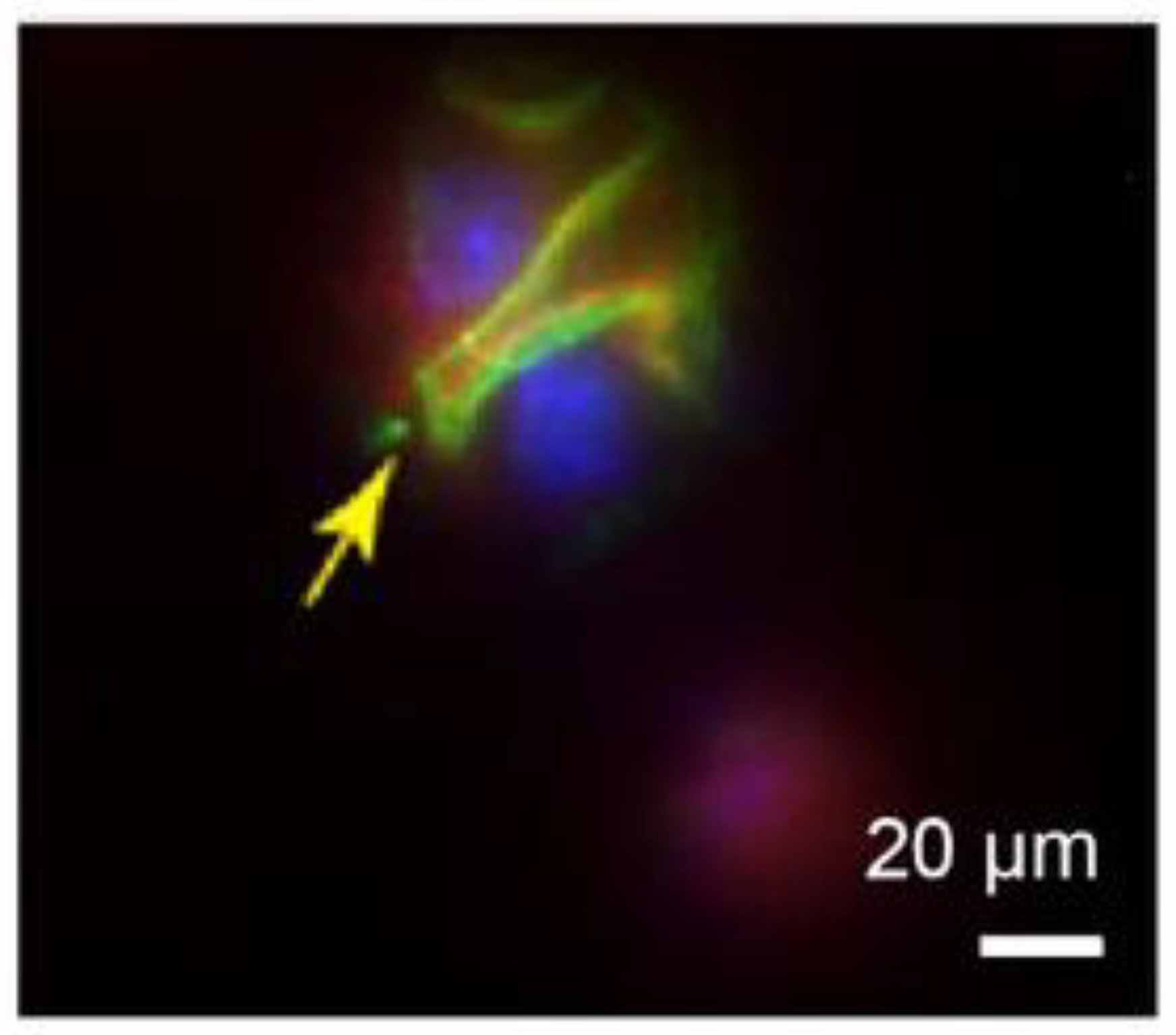 Sensors 24 02511 g023