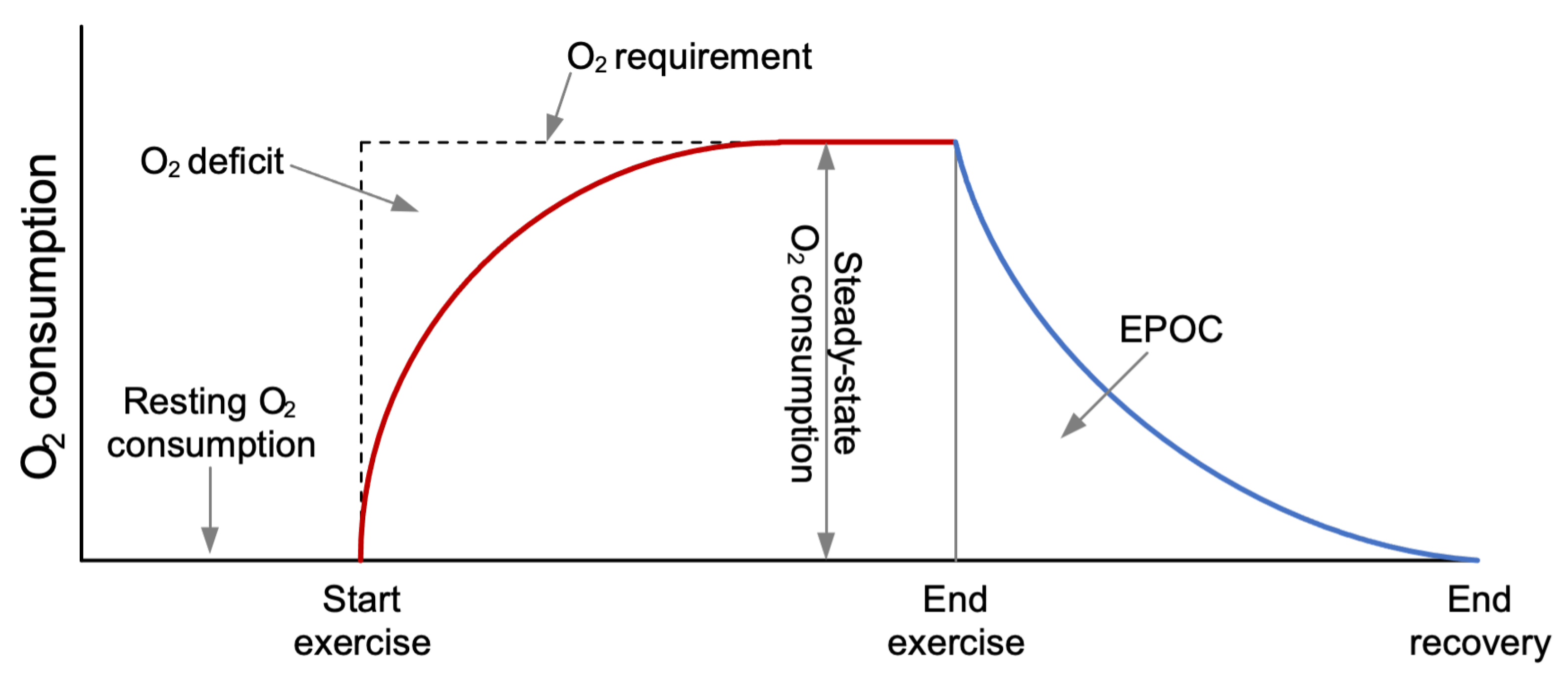 Sensors 24 02520 g001
