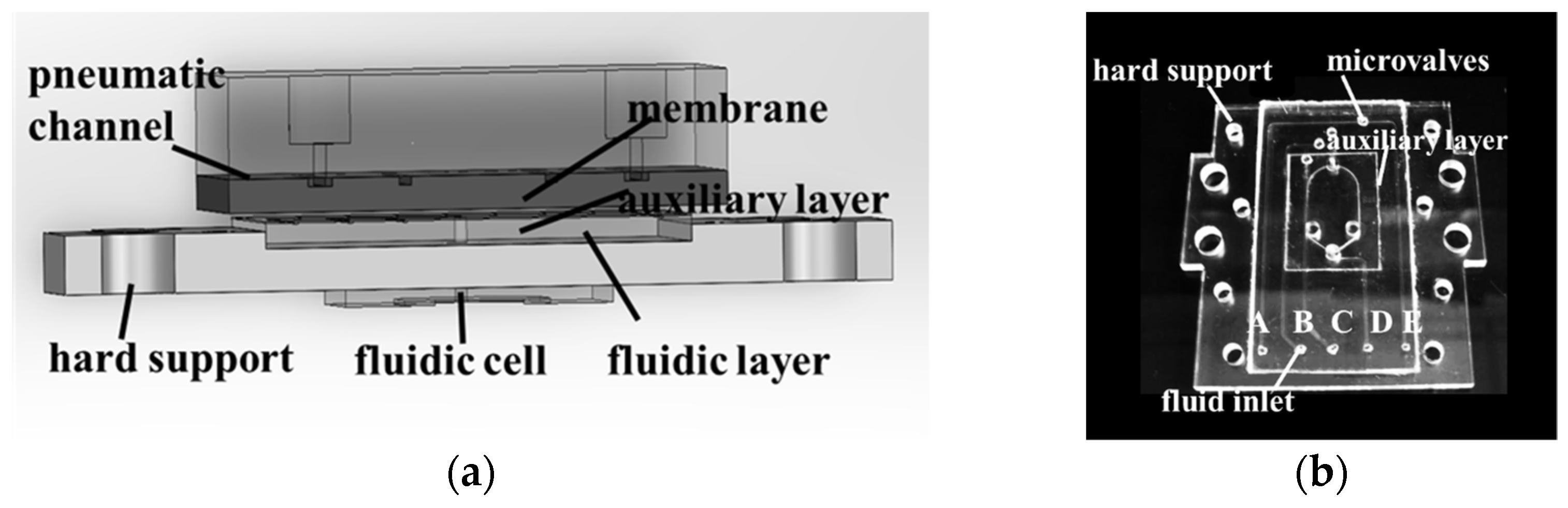 Sensors 24 02540 g003