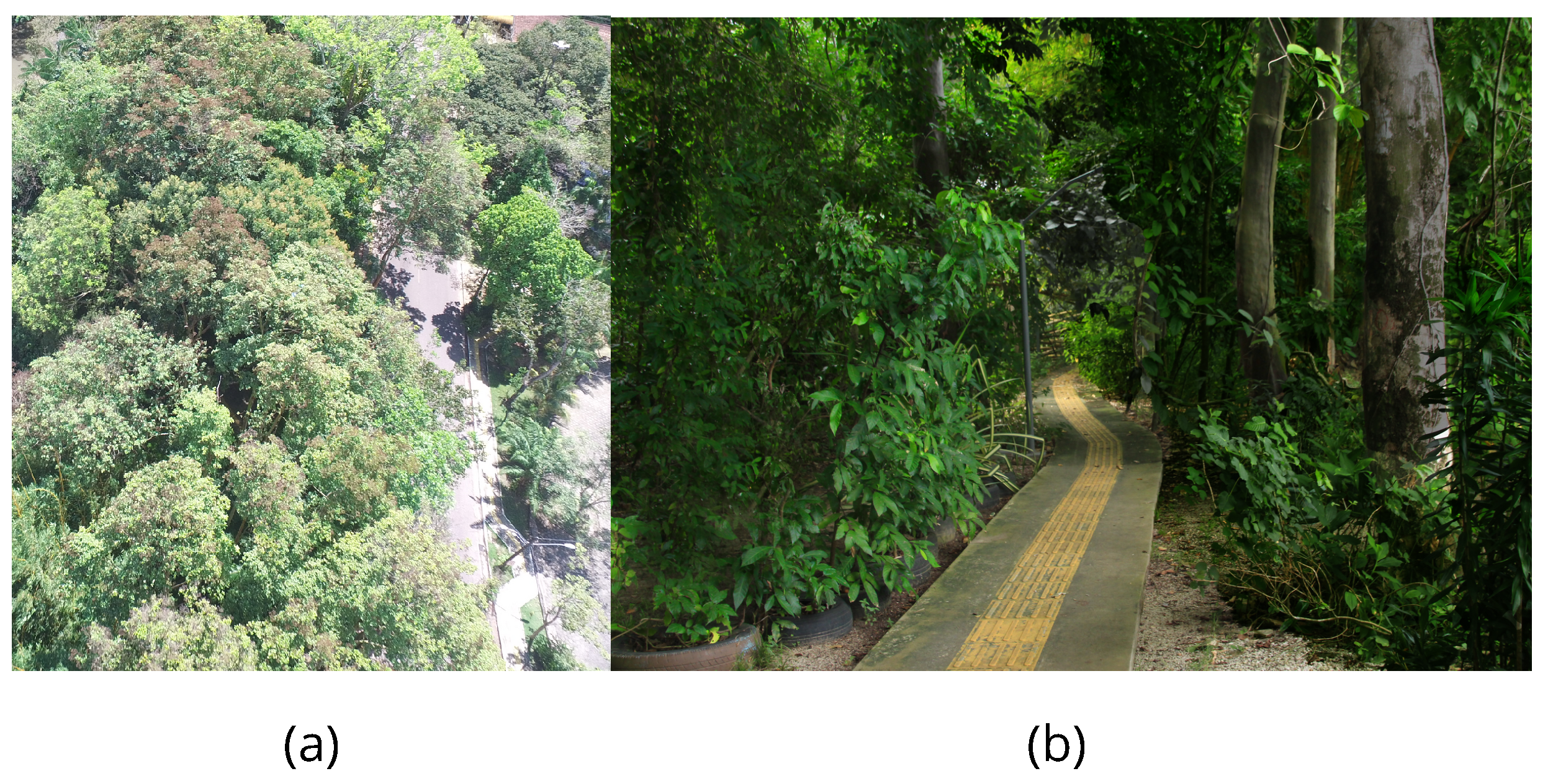 Sensors 24 02542 g002