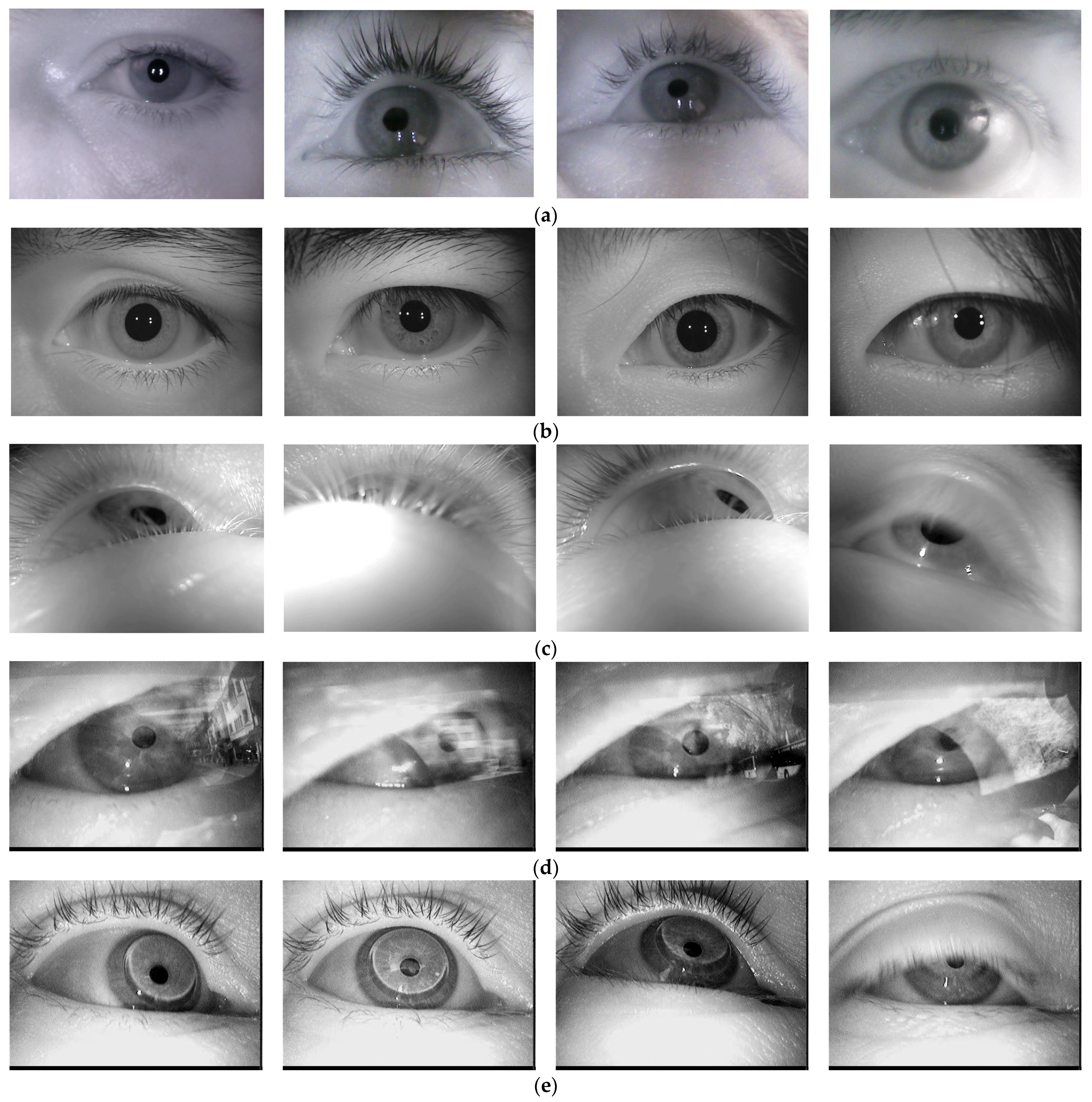 Sensors 24 02548 g012a