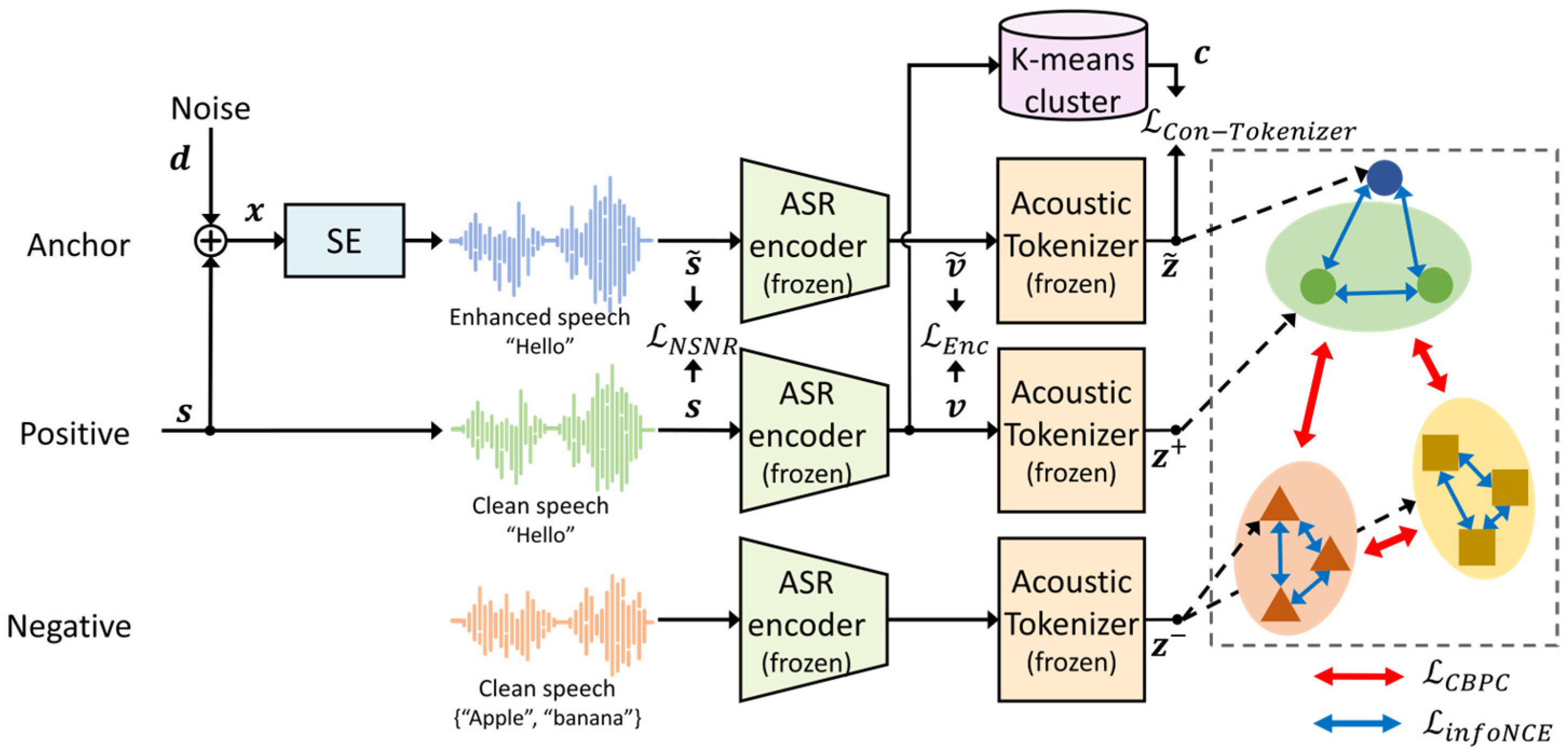 Cluster-Based Pairwise Contrastive Loss for Noise-Robust