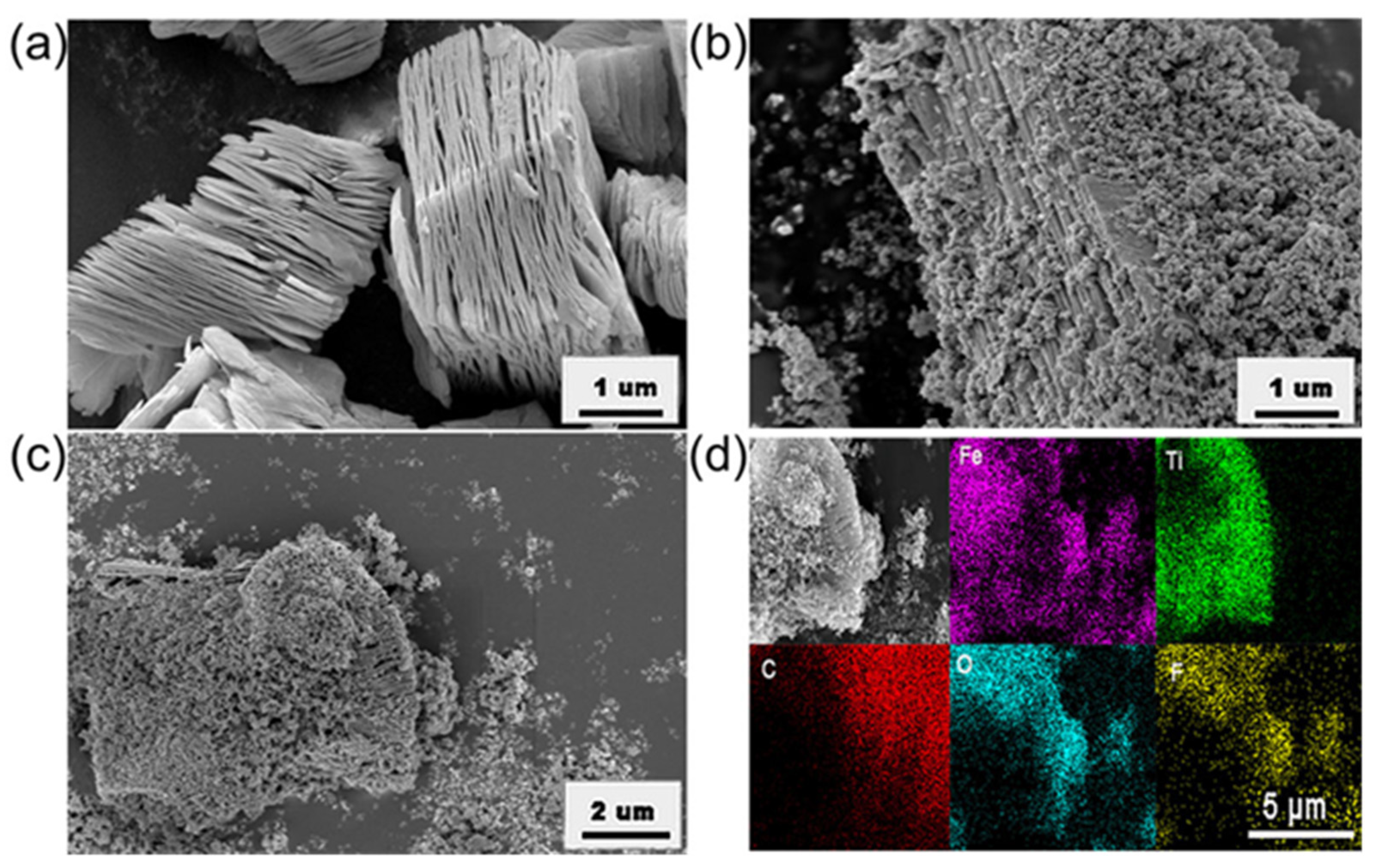 Sensors 24 02604 g003