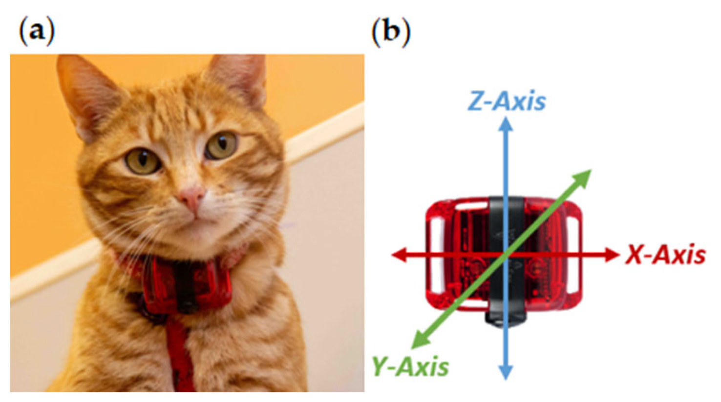 Sensors 24 02623 g001