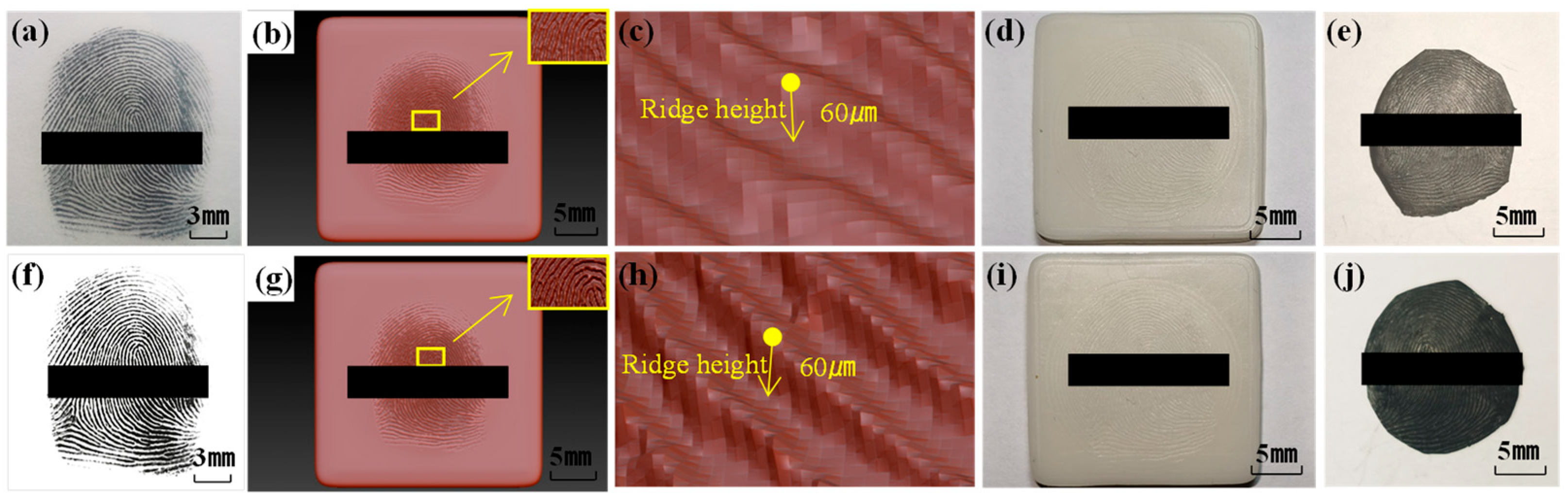 Sensors 24 02627 g008