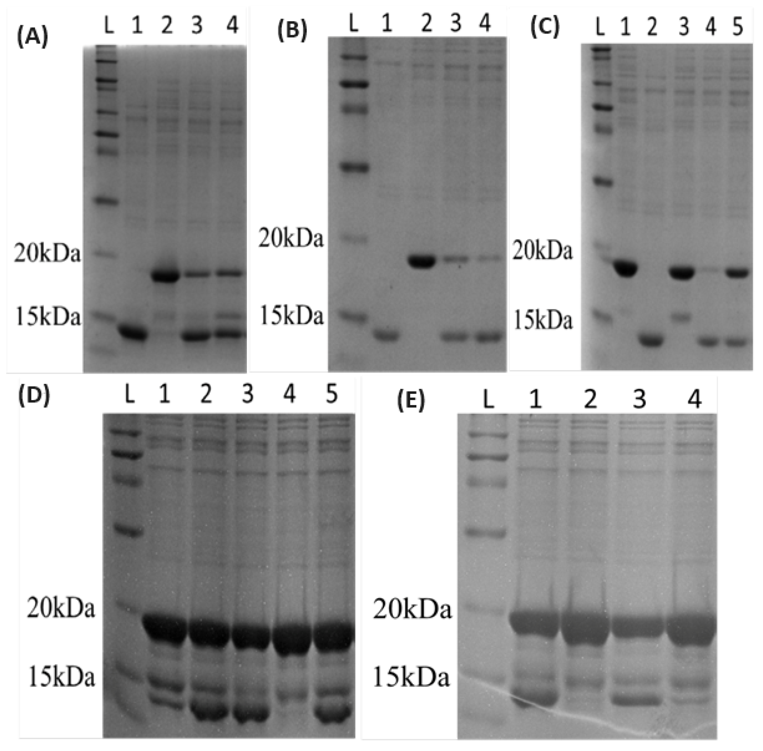 Sensors 24 02643 g001