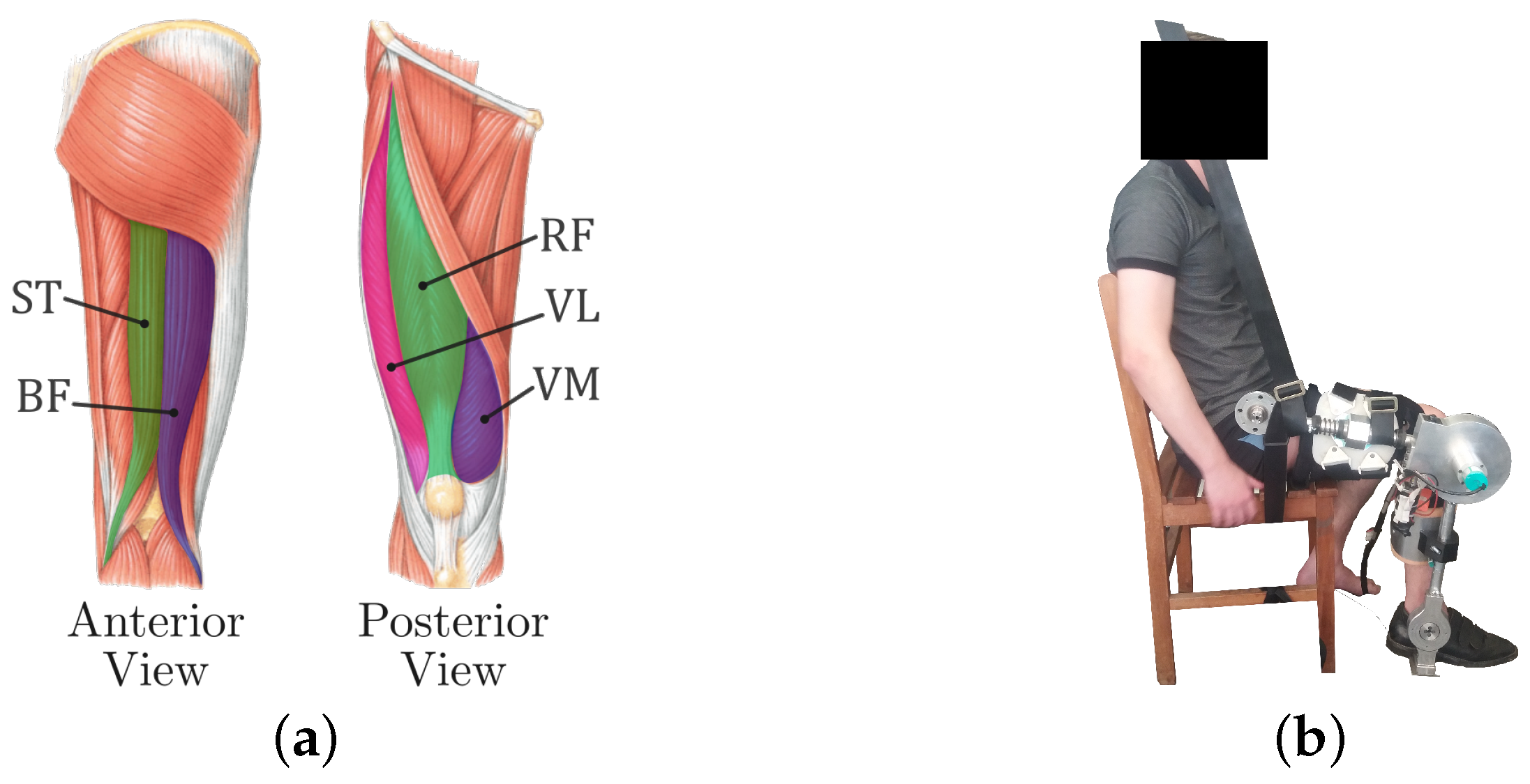 Sensors 24 02645 g001