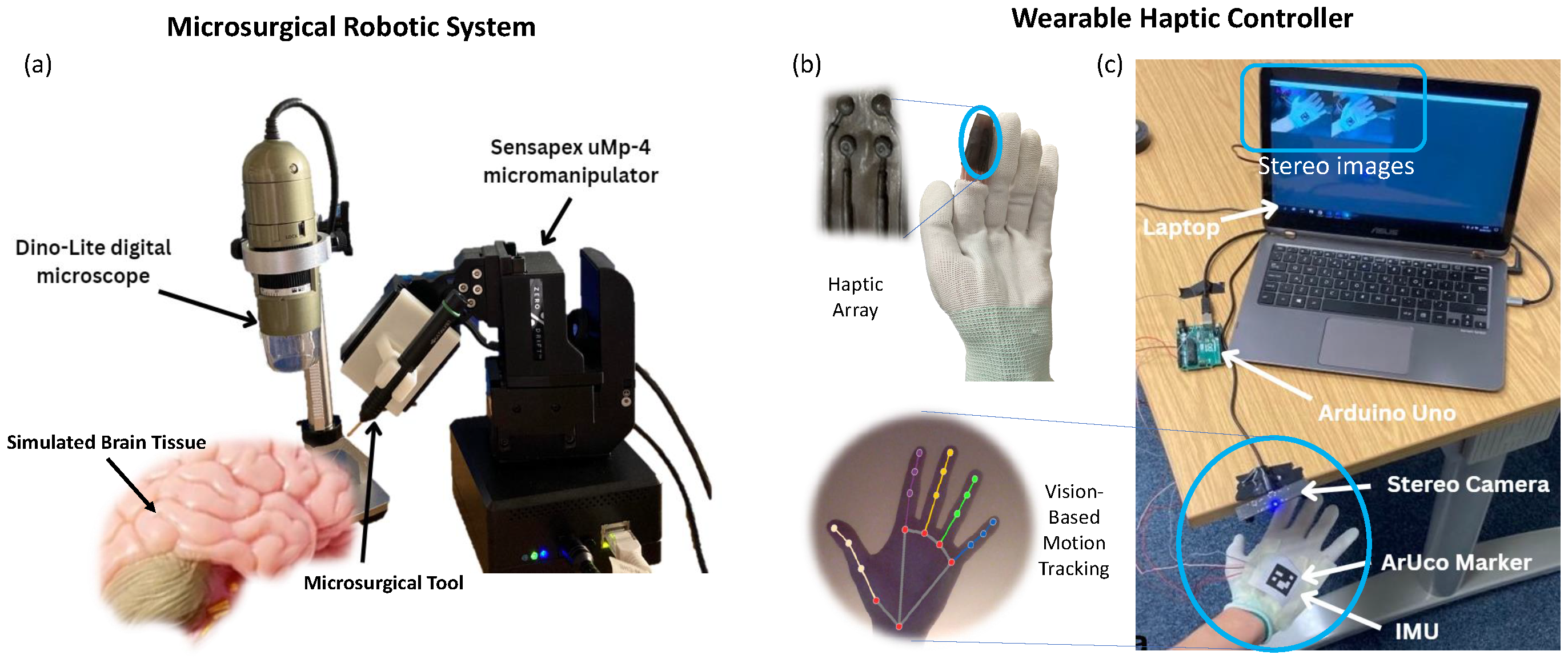 Sensors 24 02676 g001