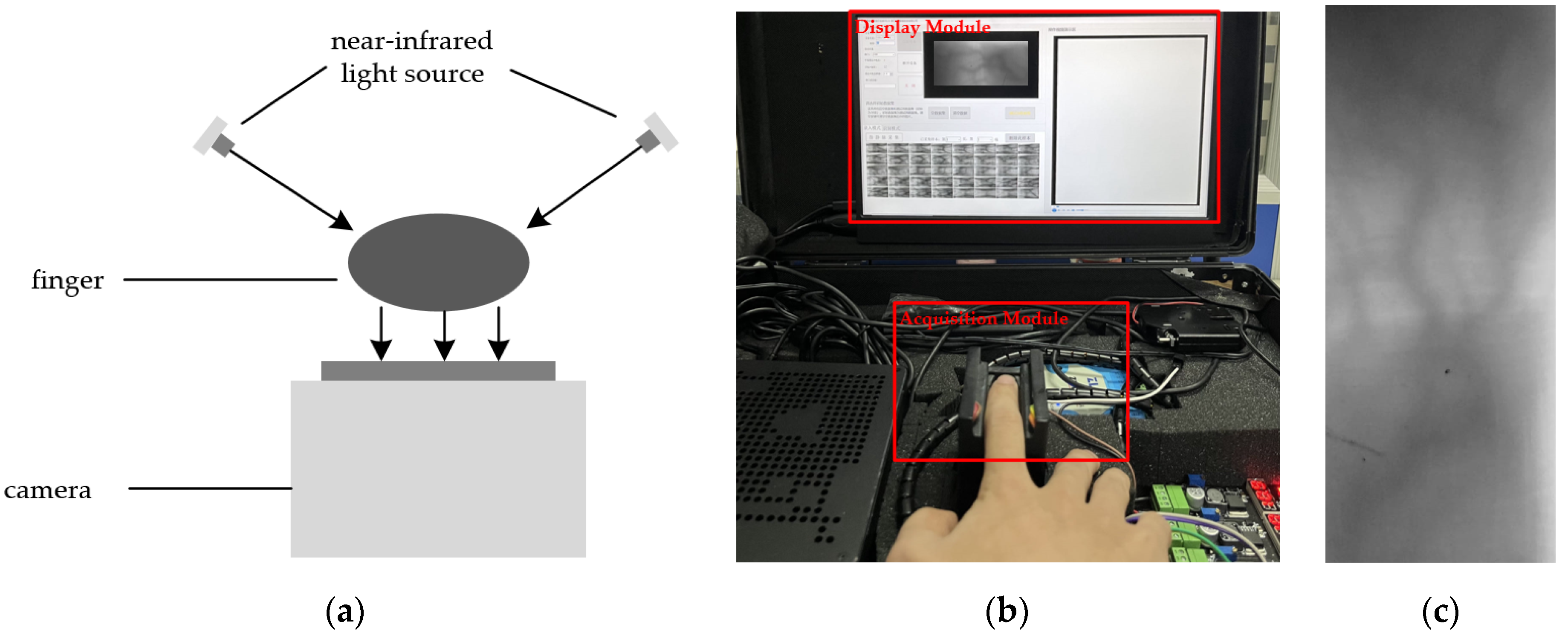 Sensors 24 02684 g001