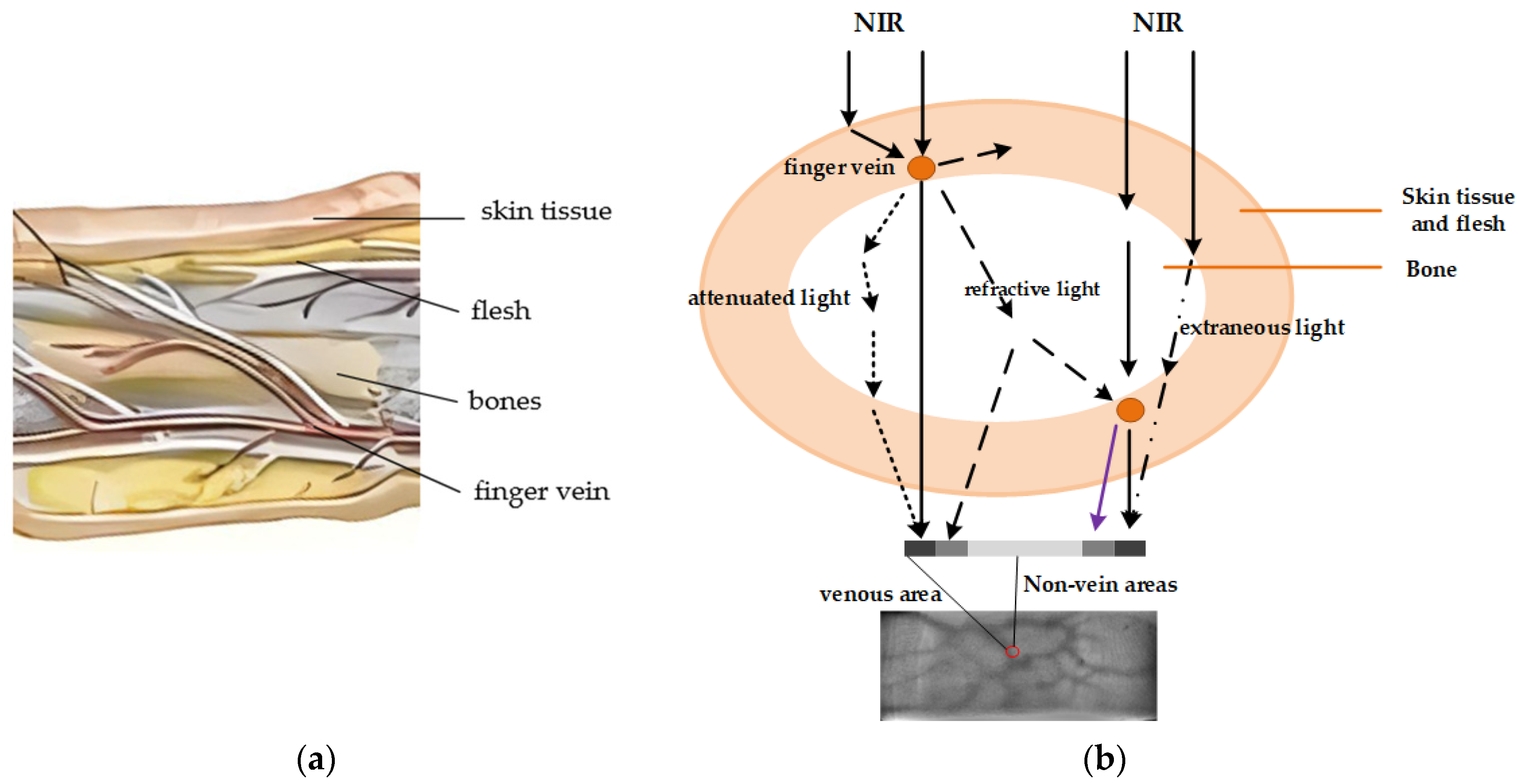 Sensors 24 02684 g002