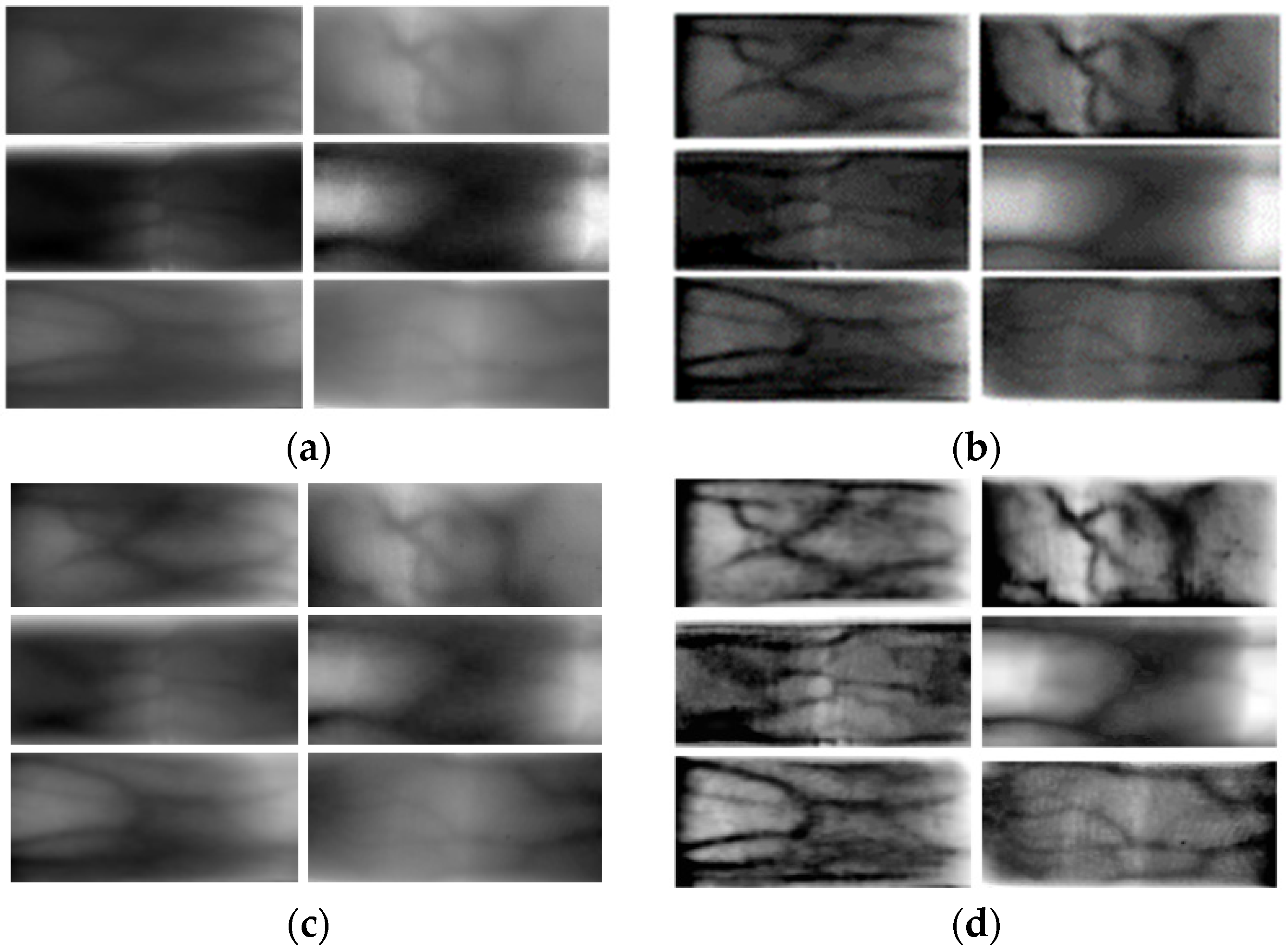 Sensors 24 02684 g009