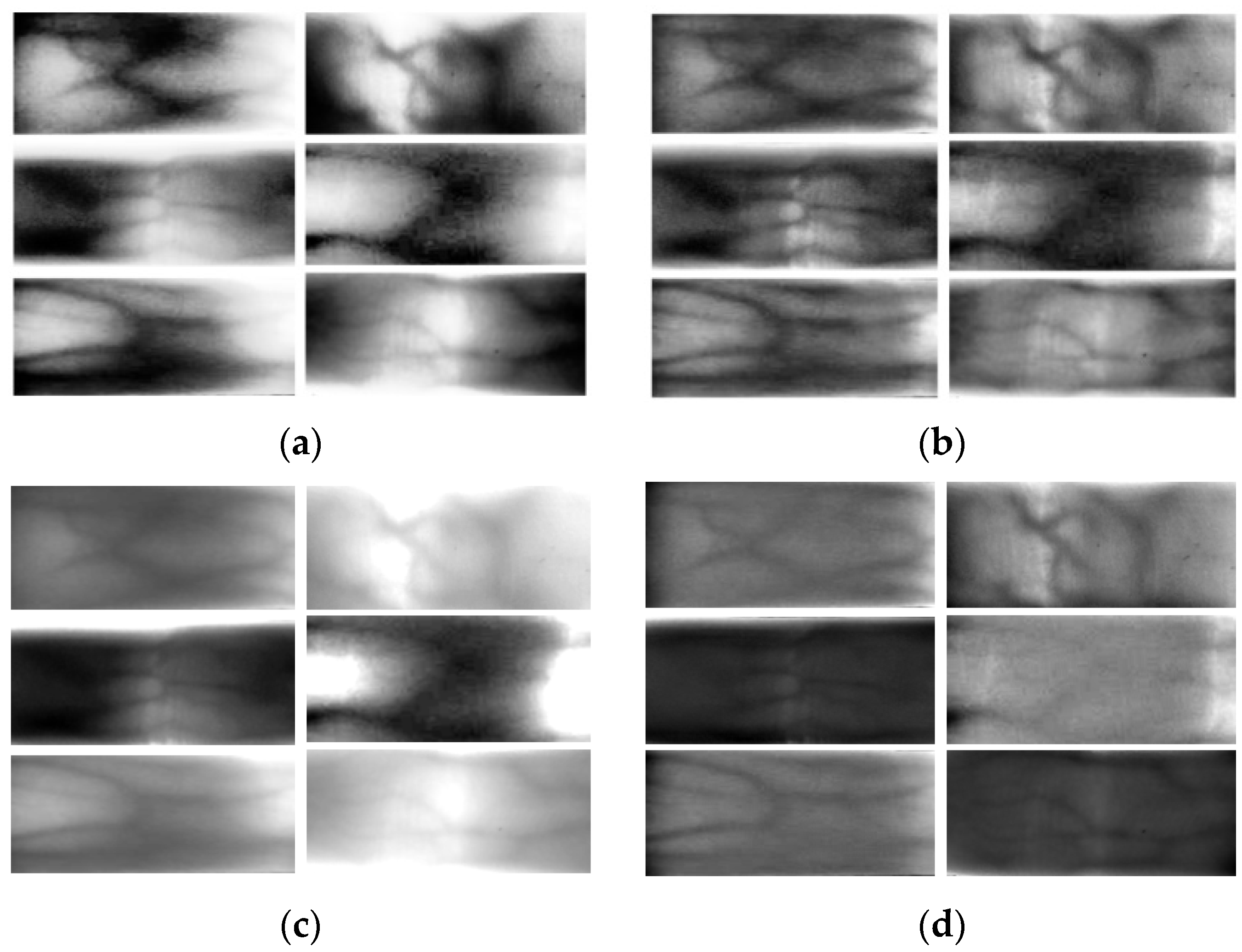 Sensors 24 02684 g010