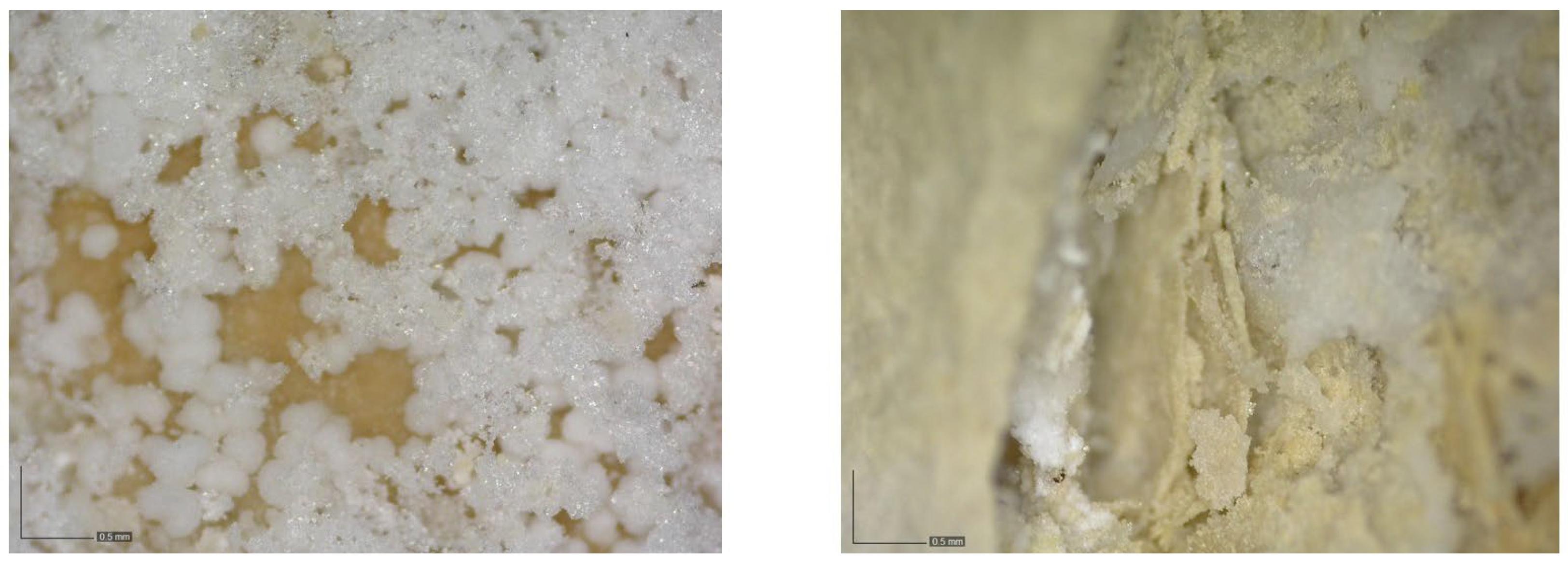 Sensors 24 02686 g010