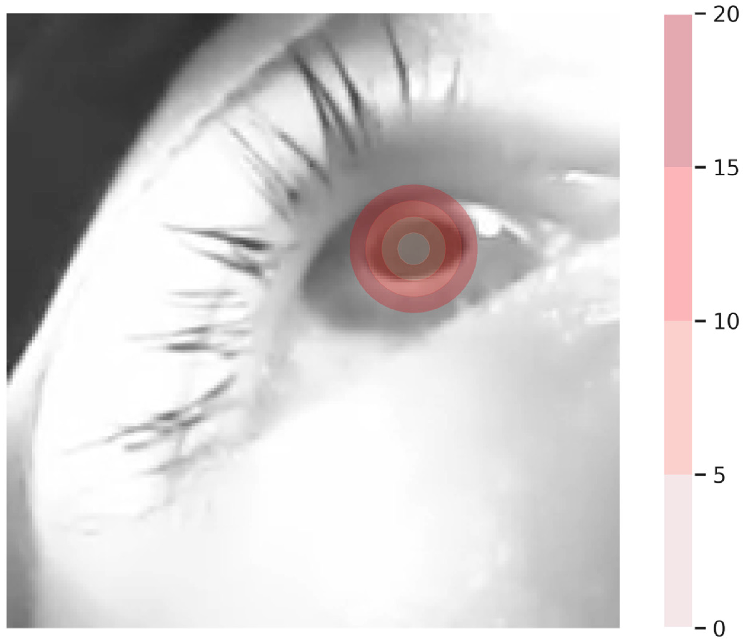 Sensors 24 02688 g002